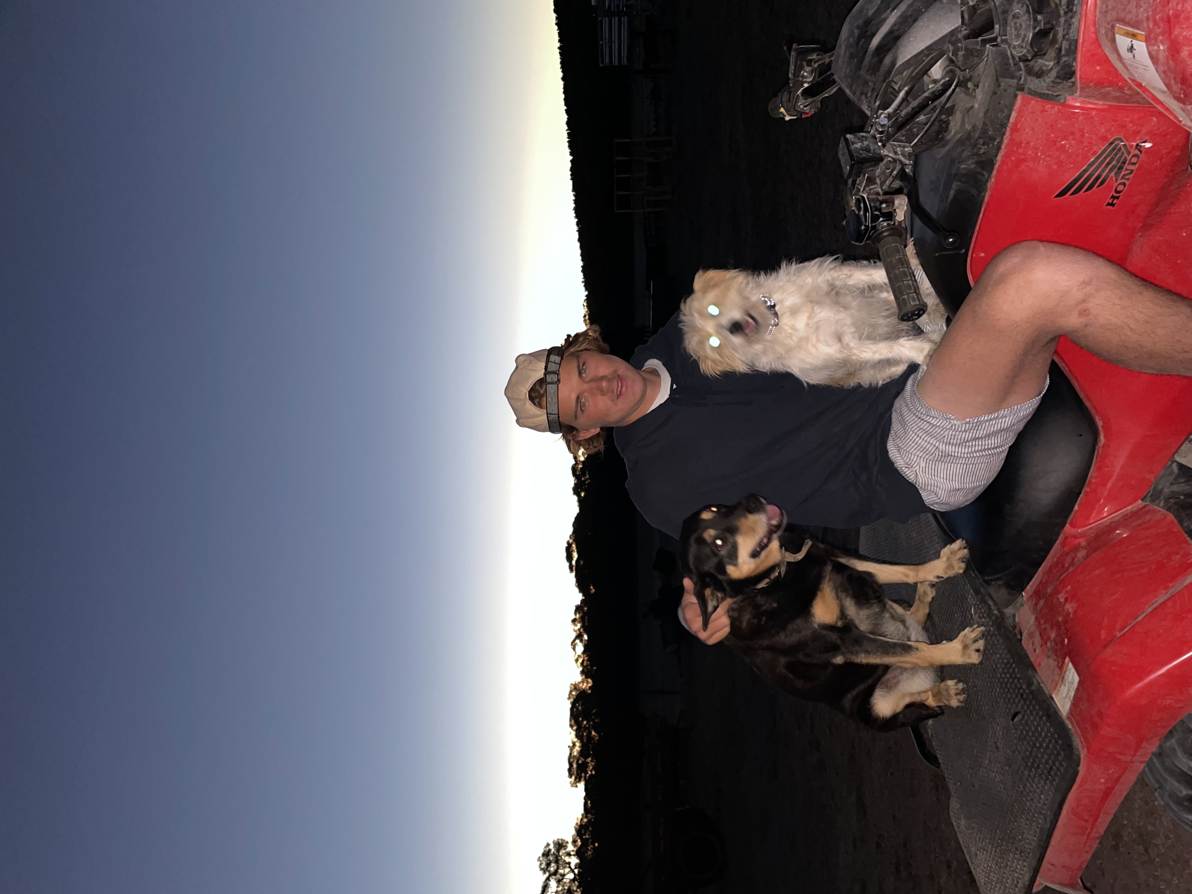 image-0