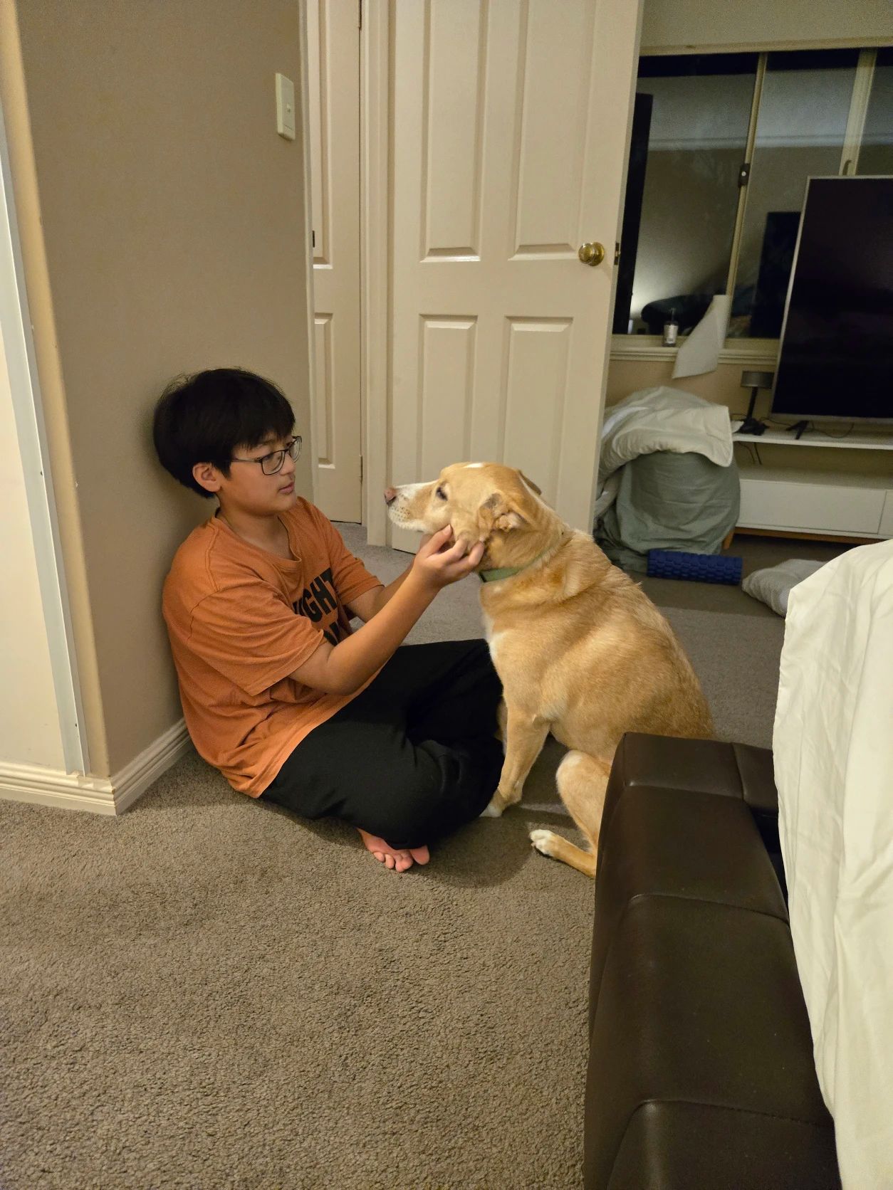 image-19