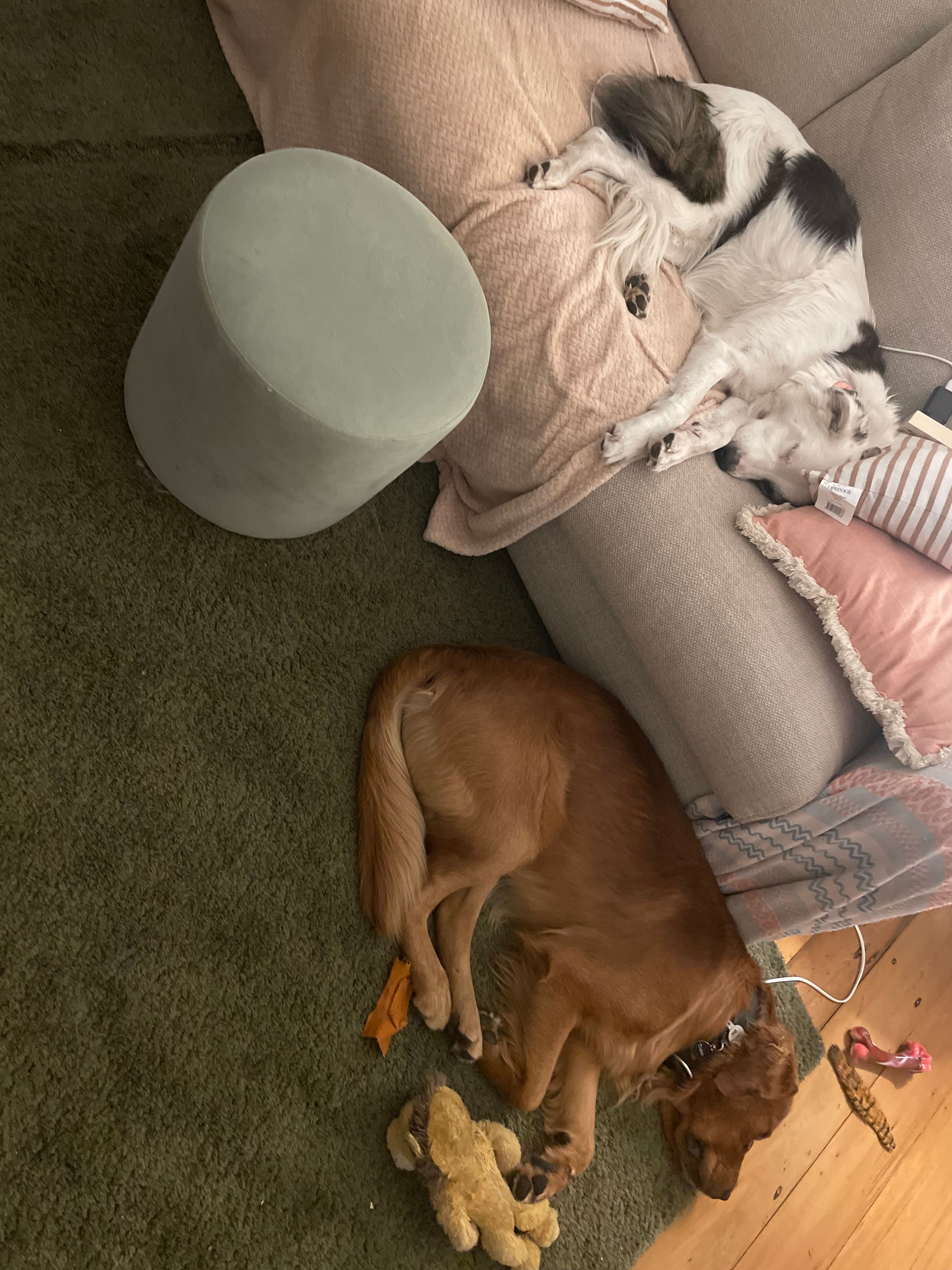 image-11