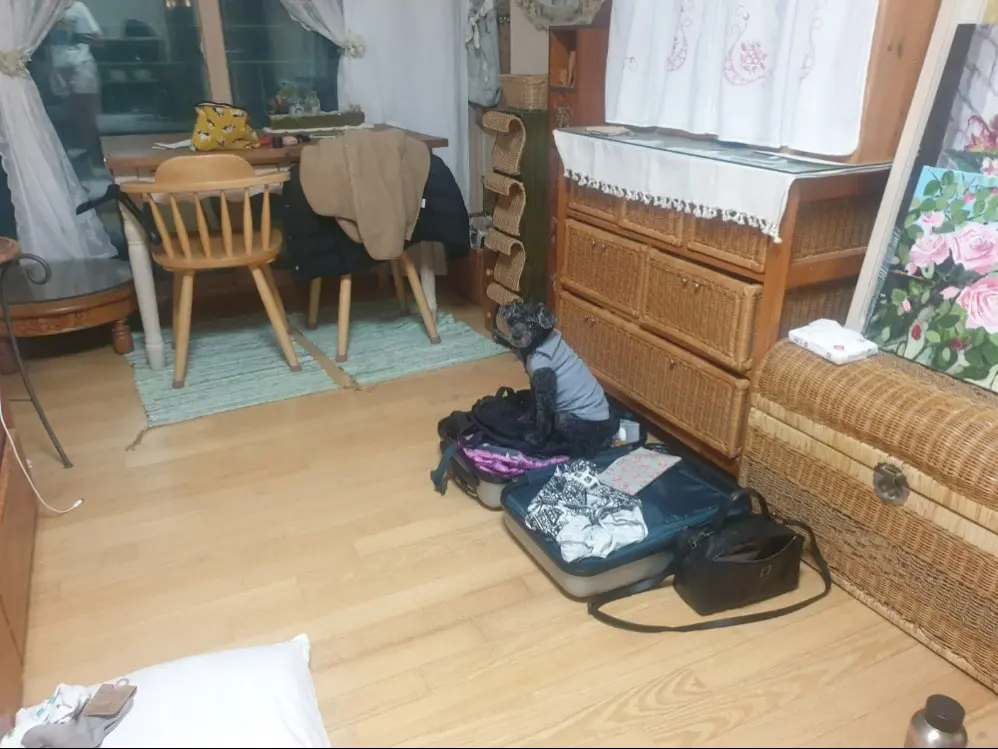 image-2