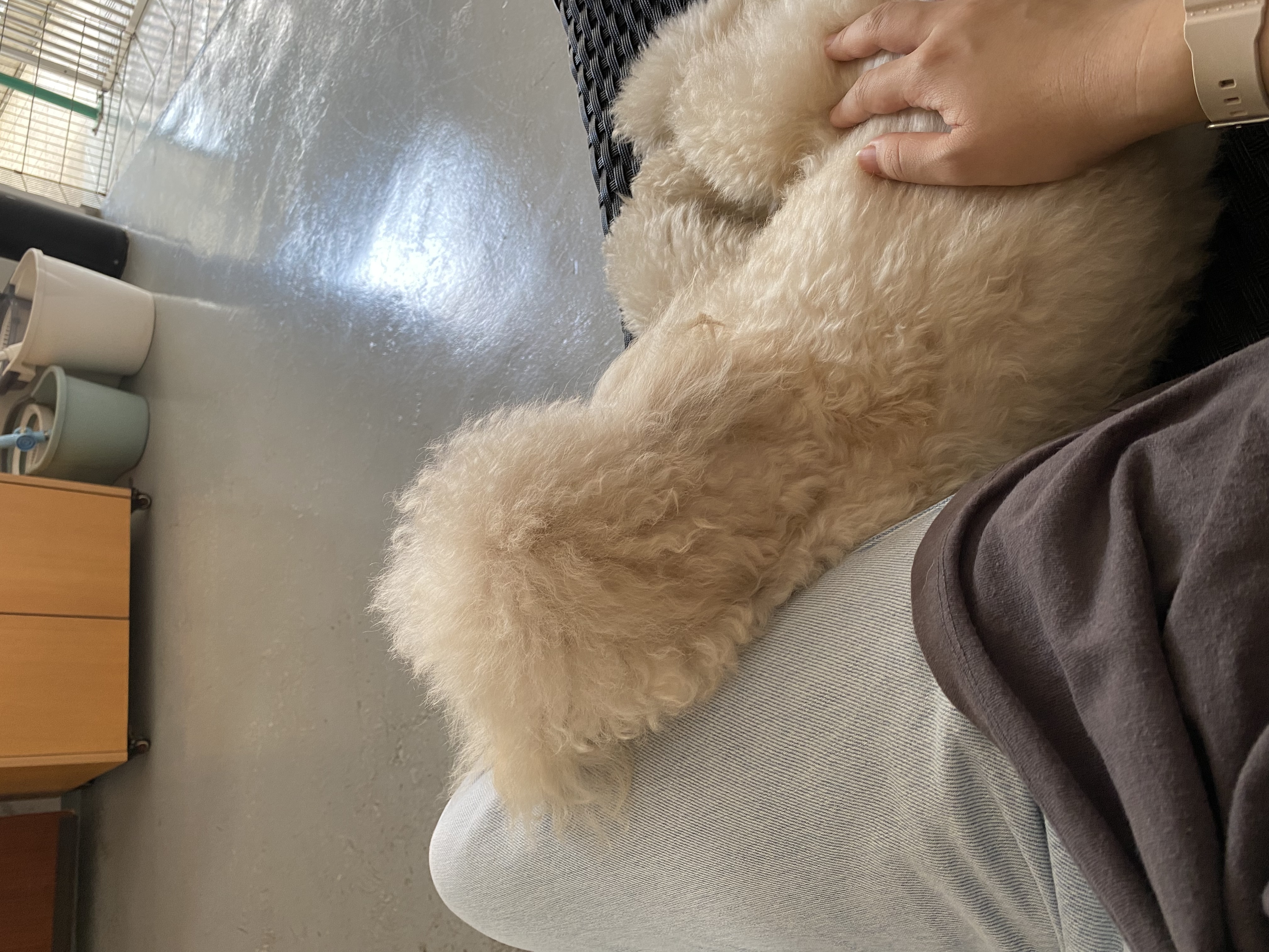 image-8