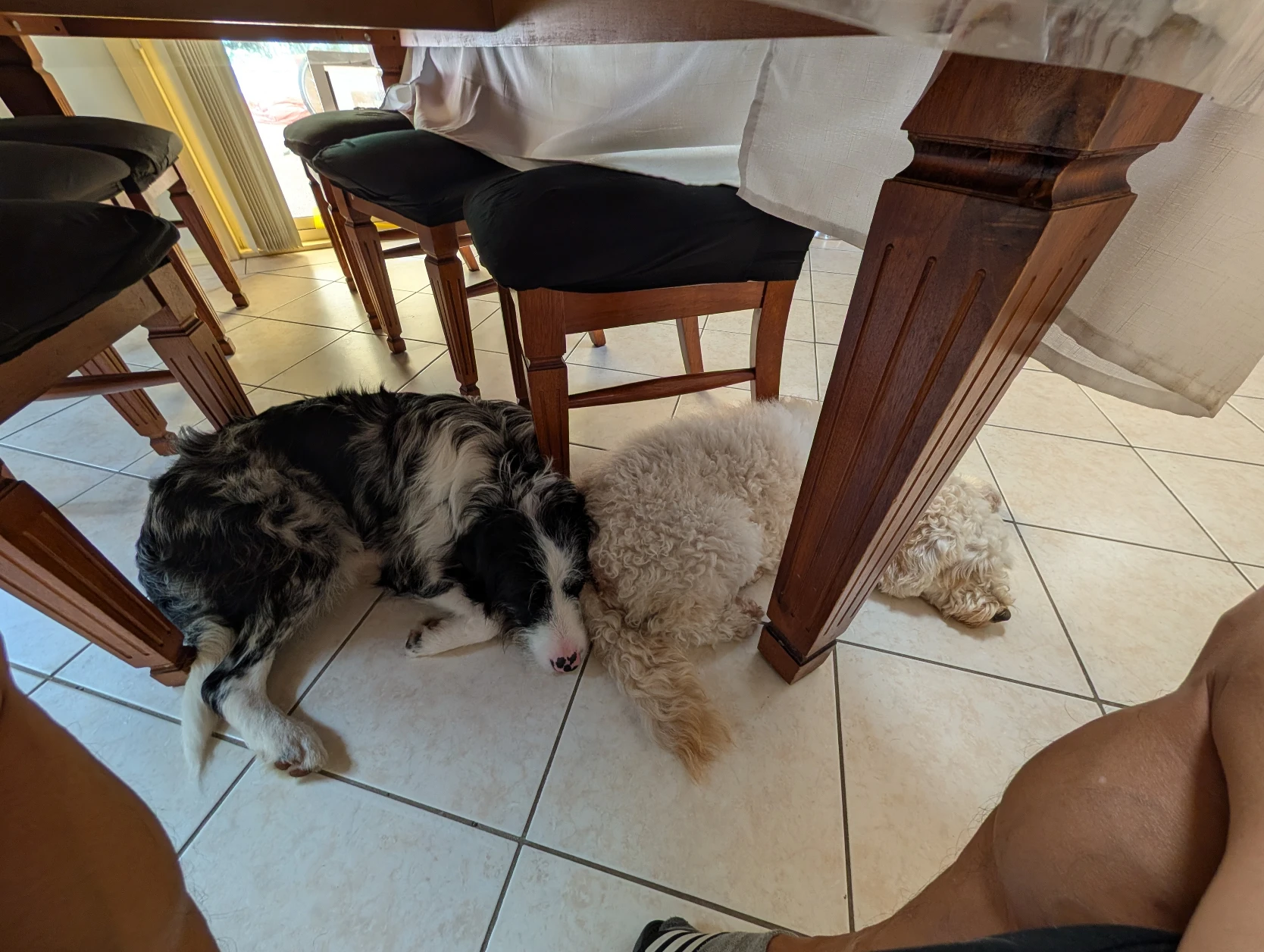 image-27