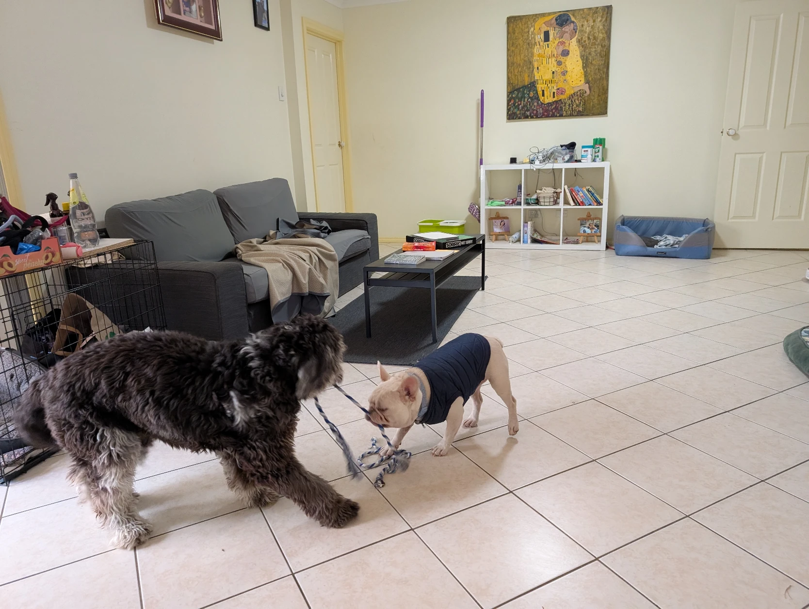 image-22