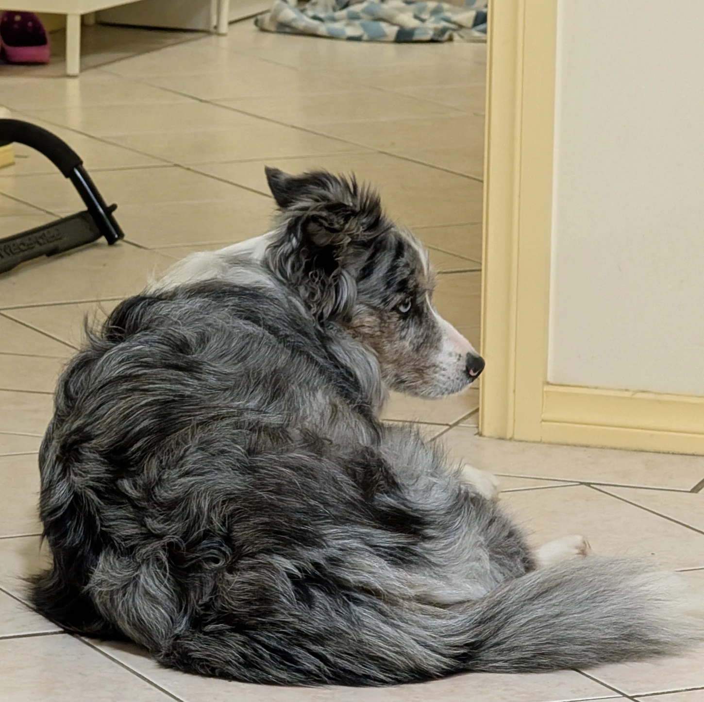 image-28