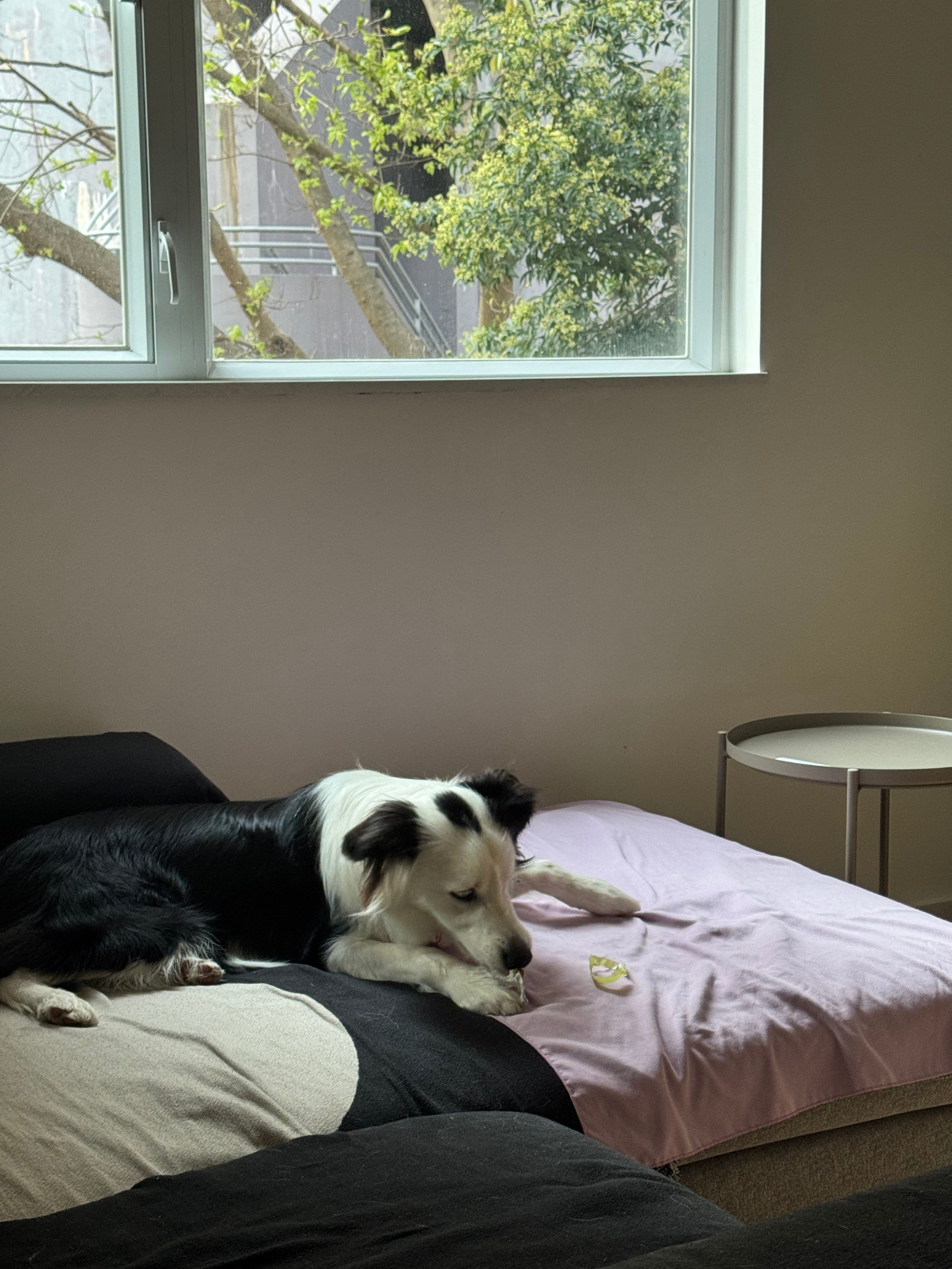 image-6