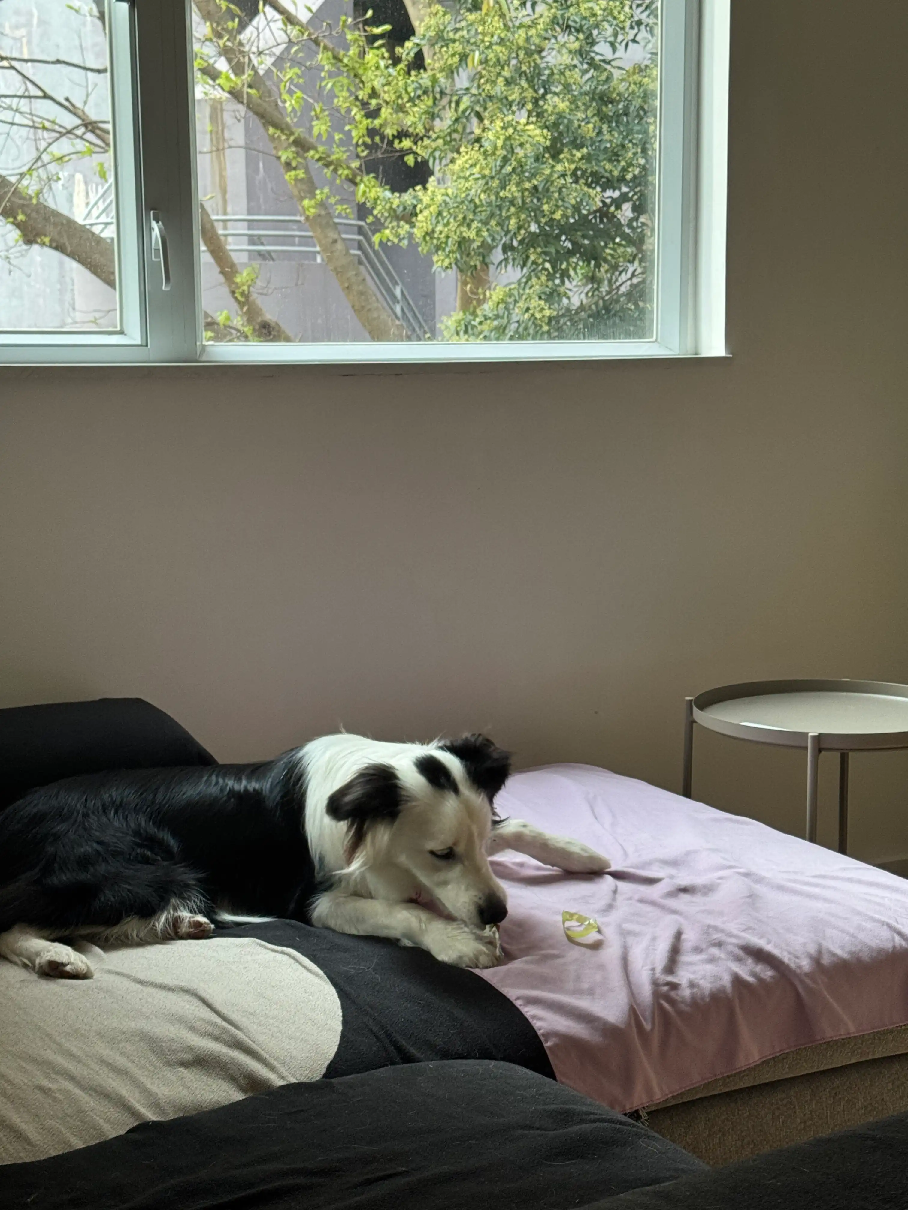 image-6