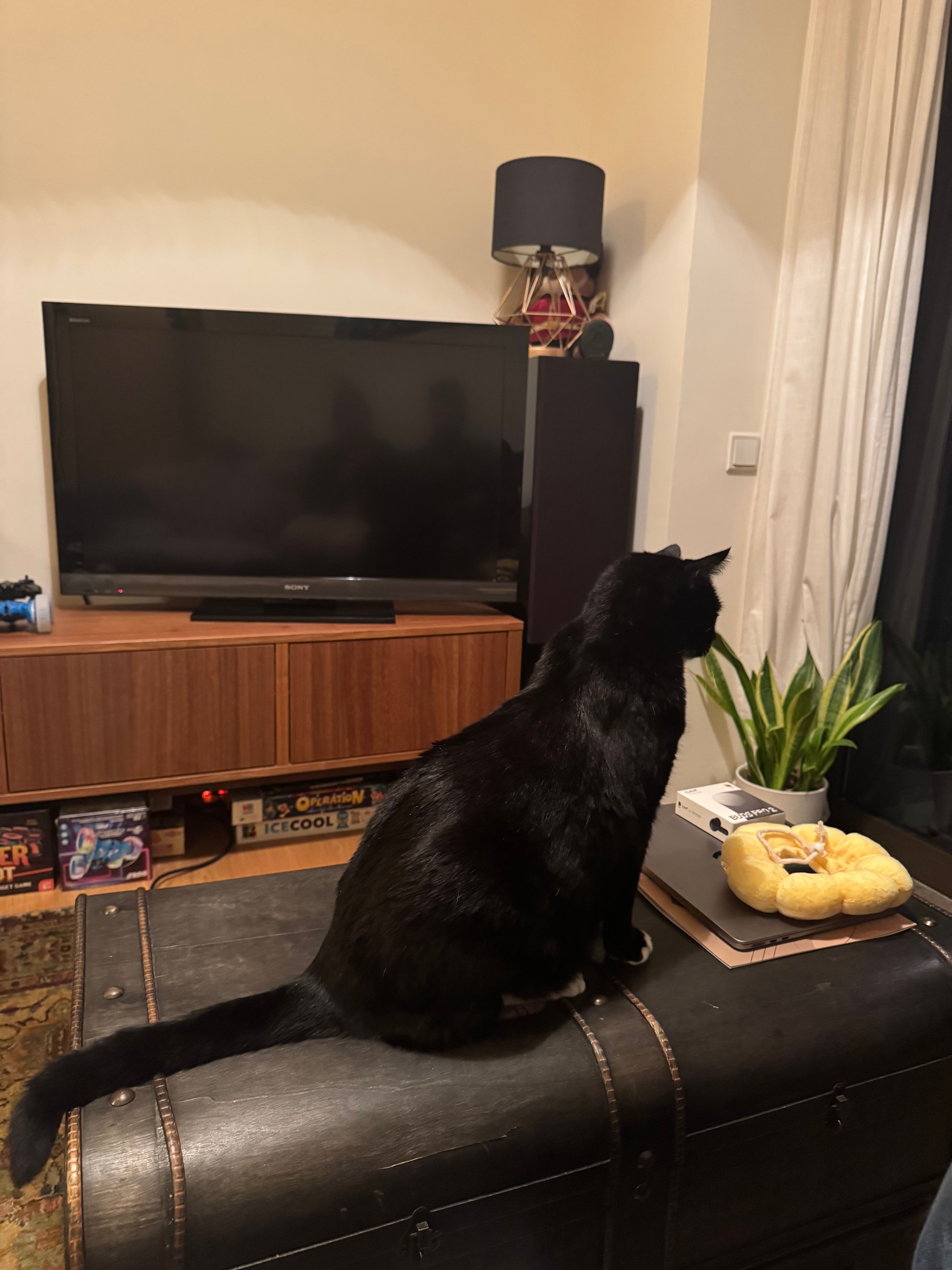 image-12