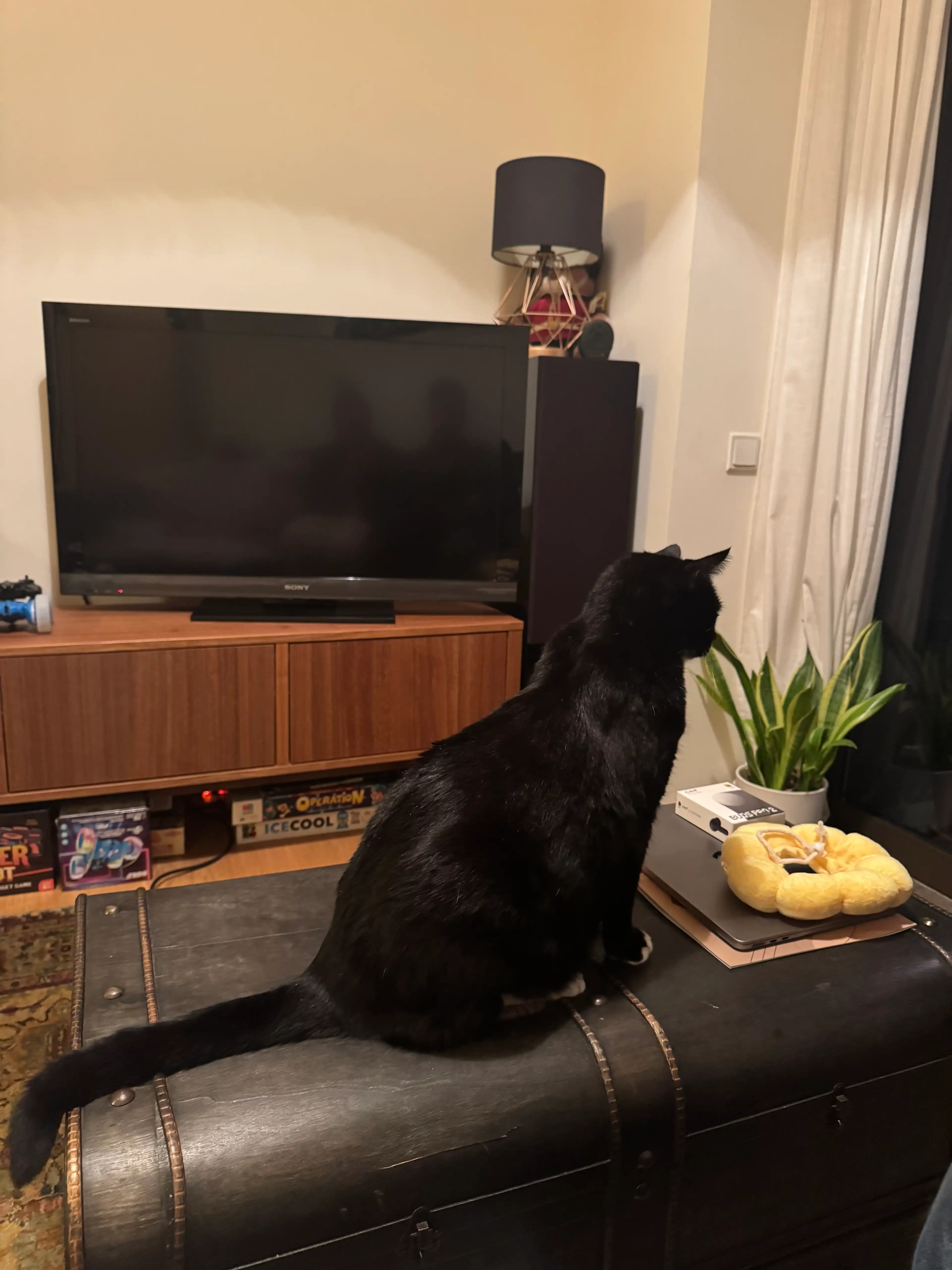 image-12