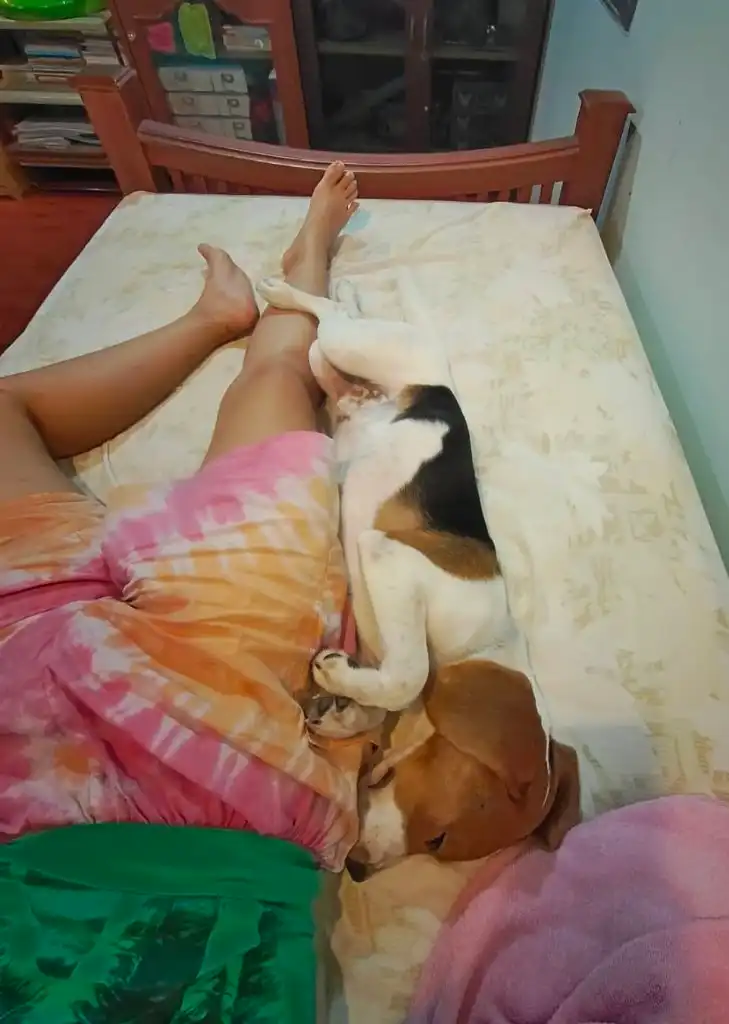 image-8