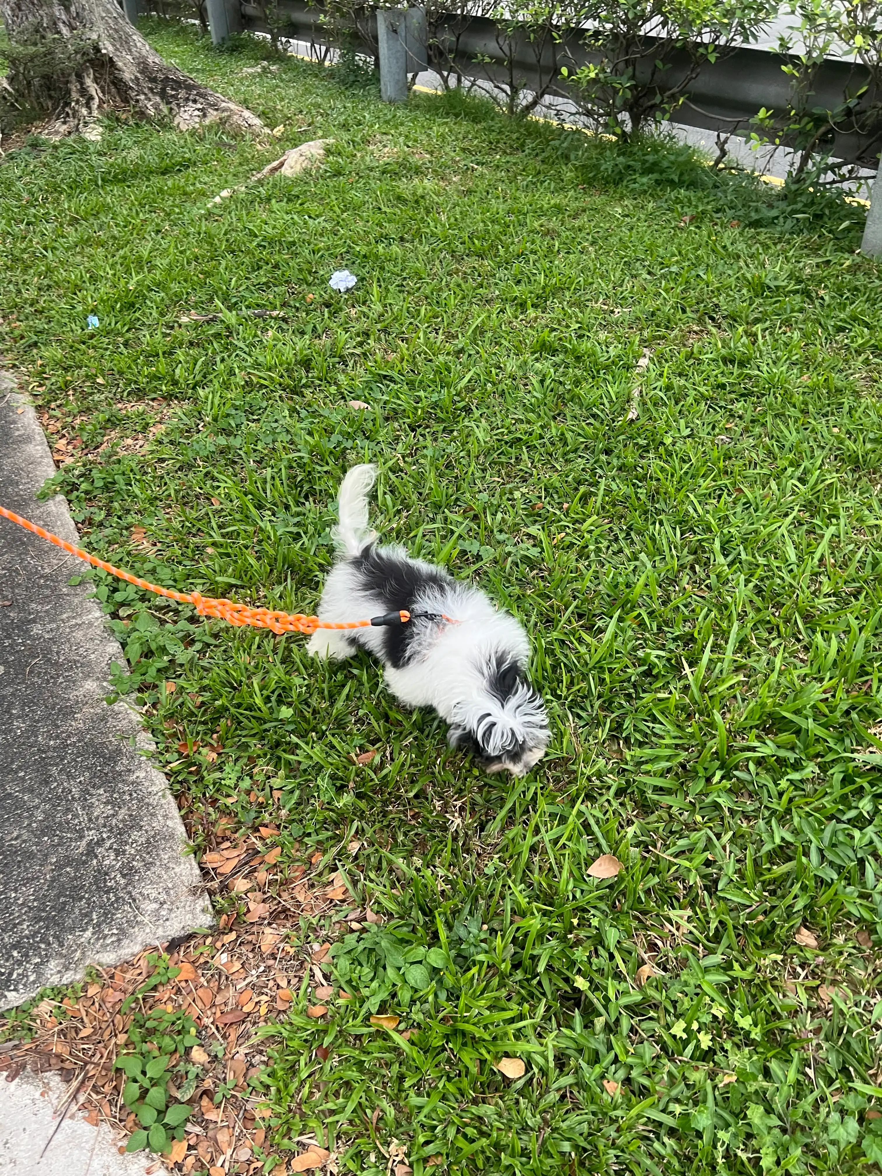 image-6