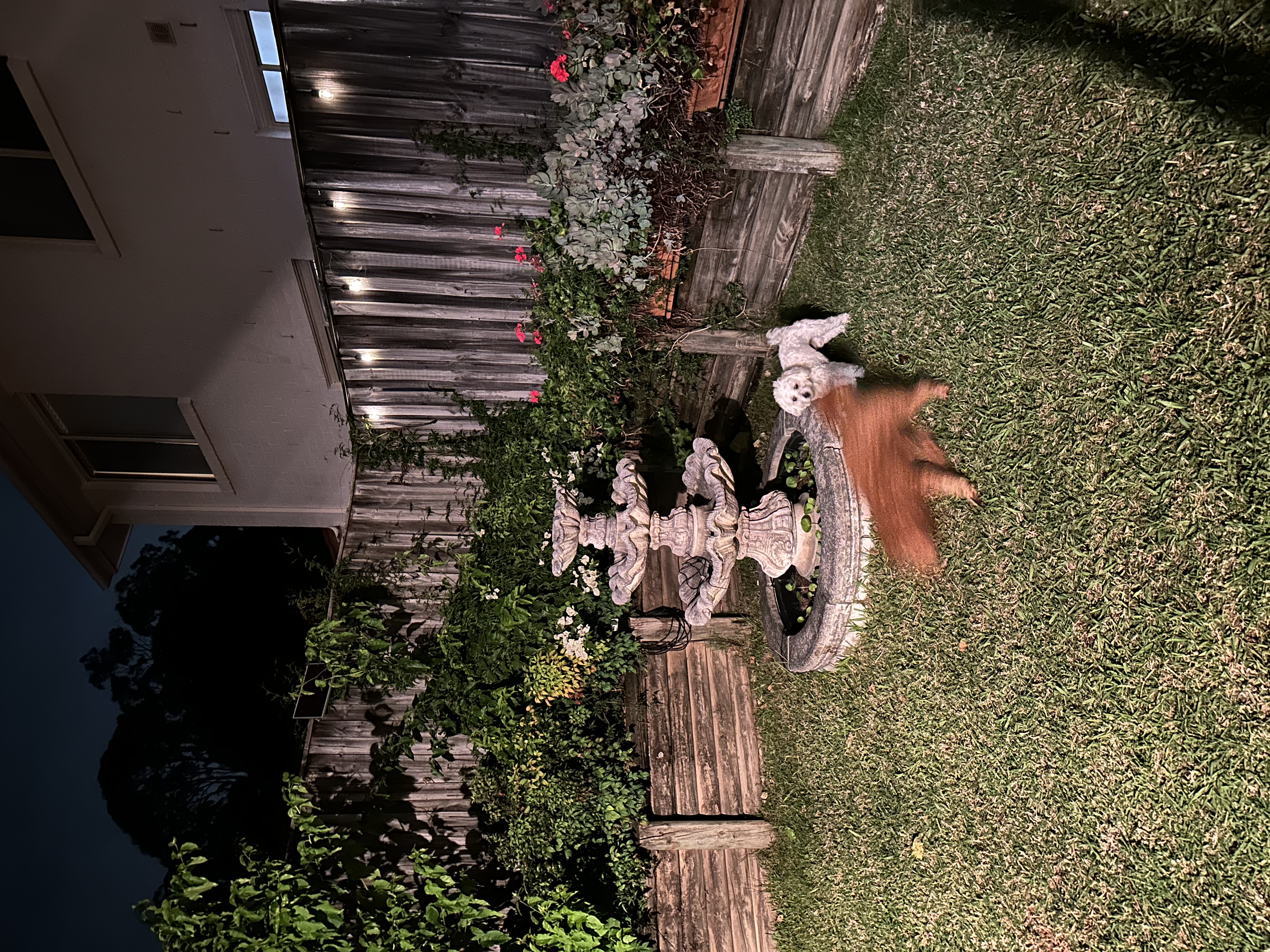 image-20