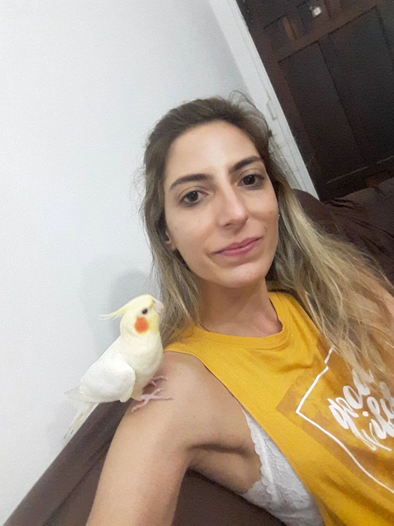 image-8