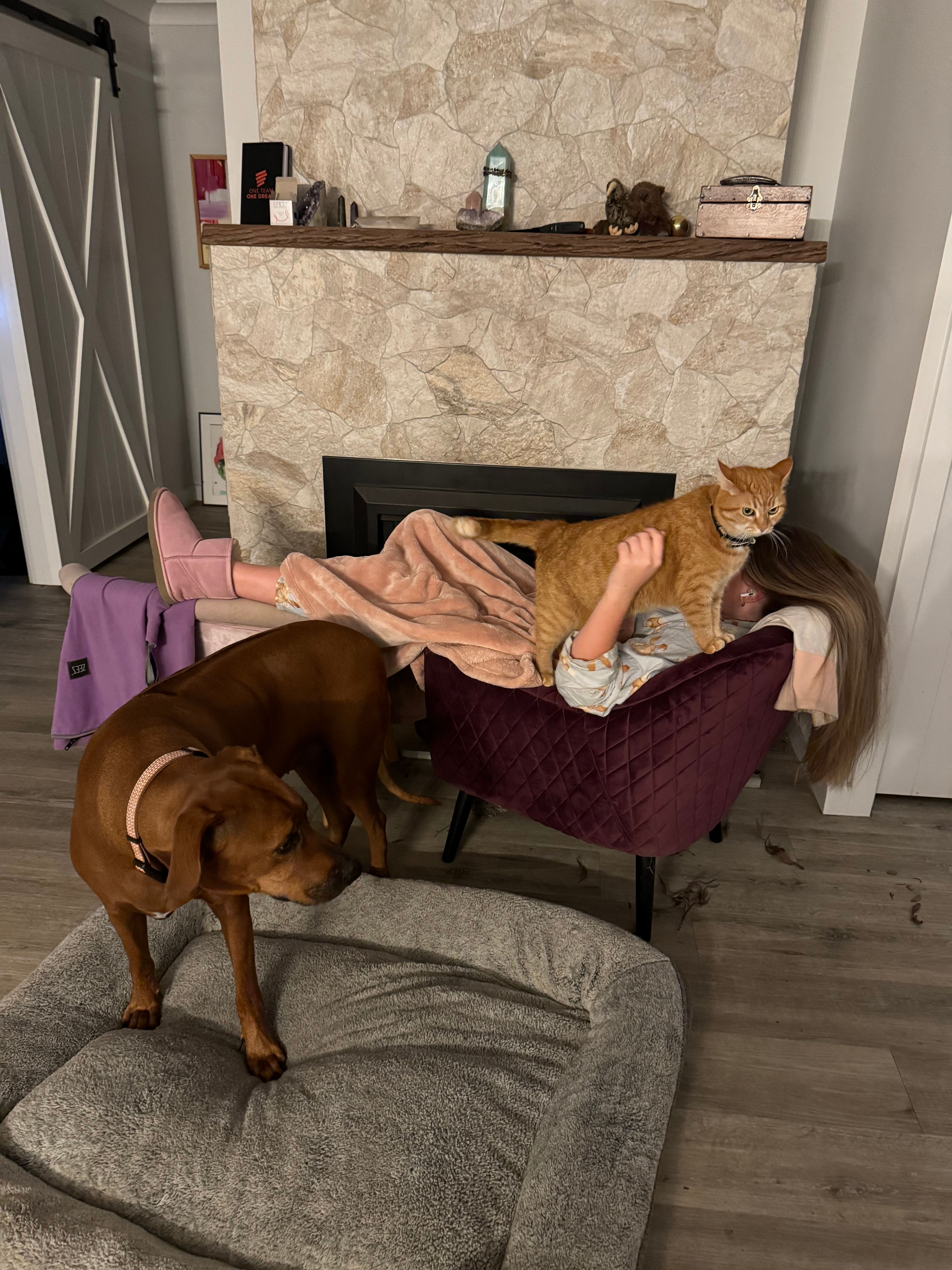 image-5