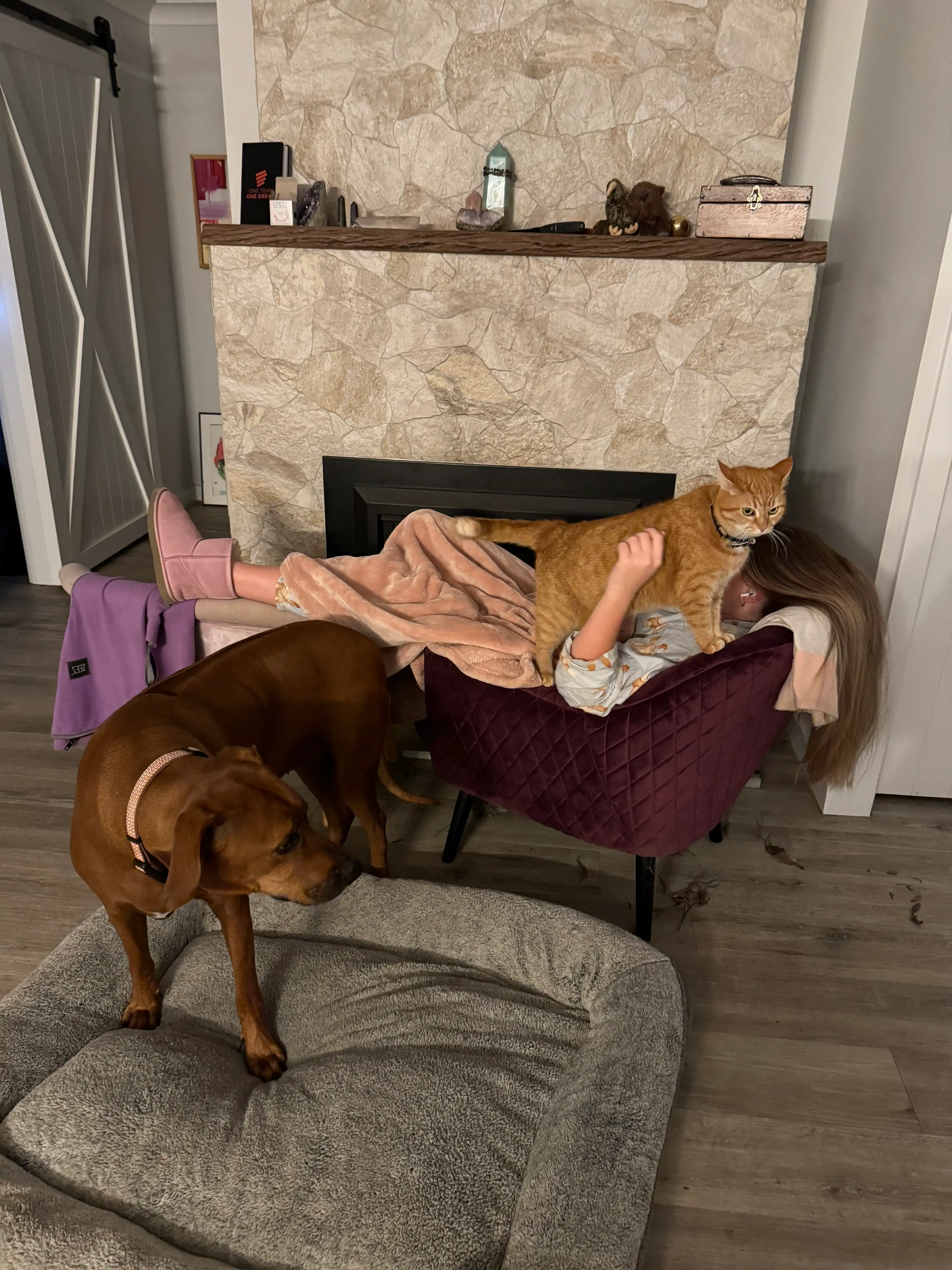 image-5