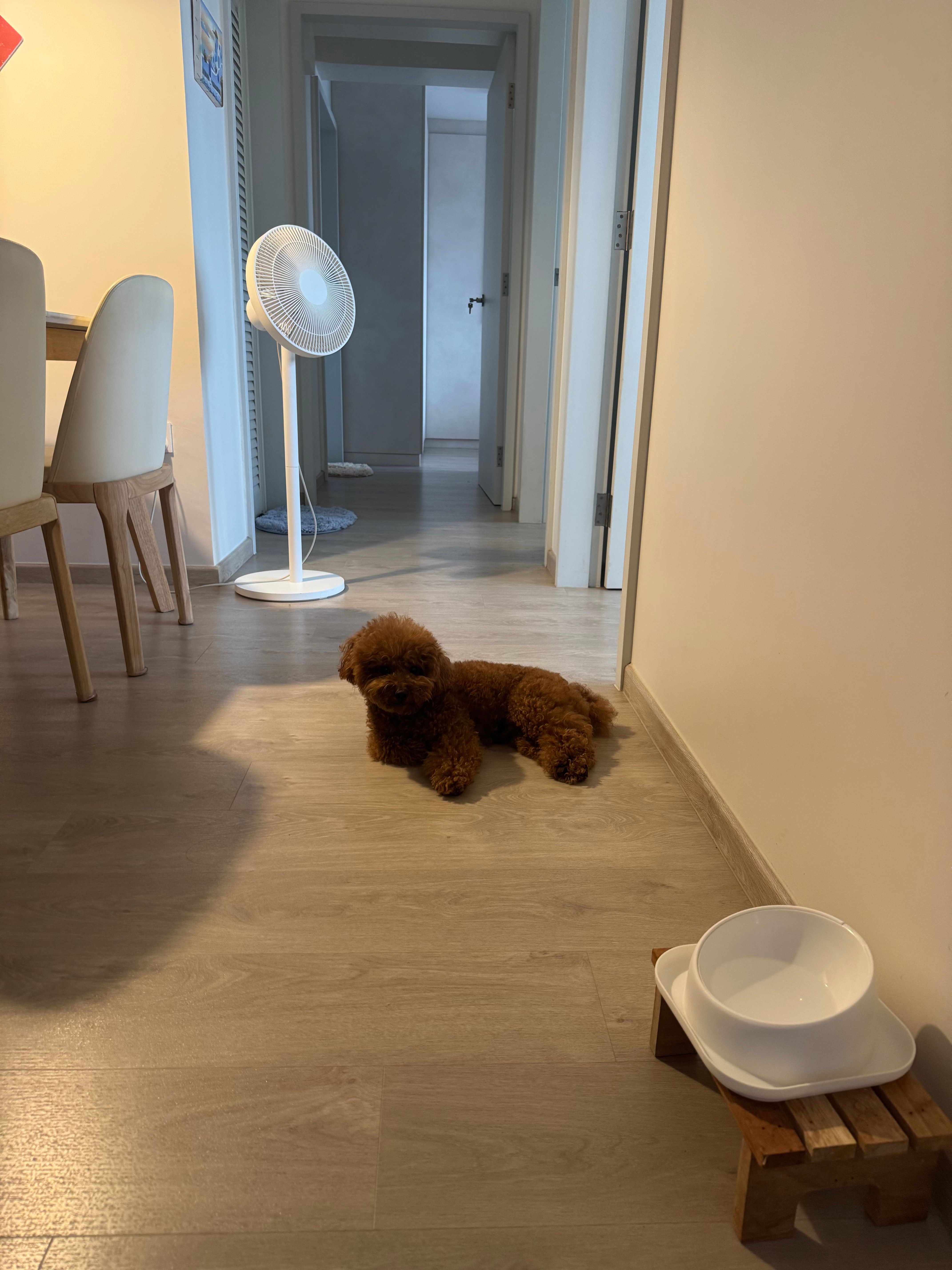 image-18