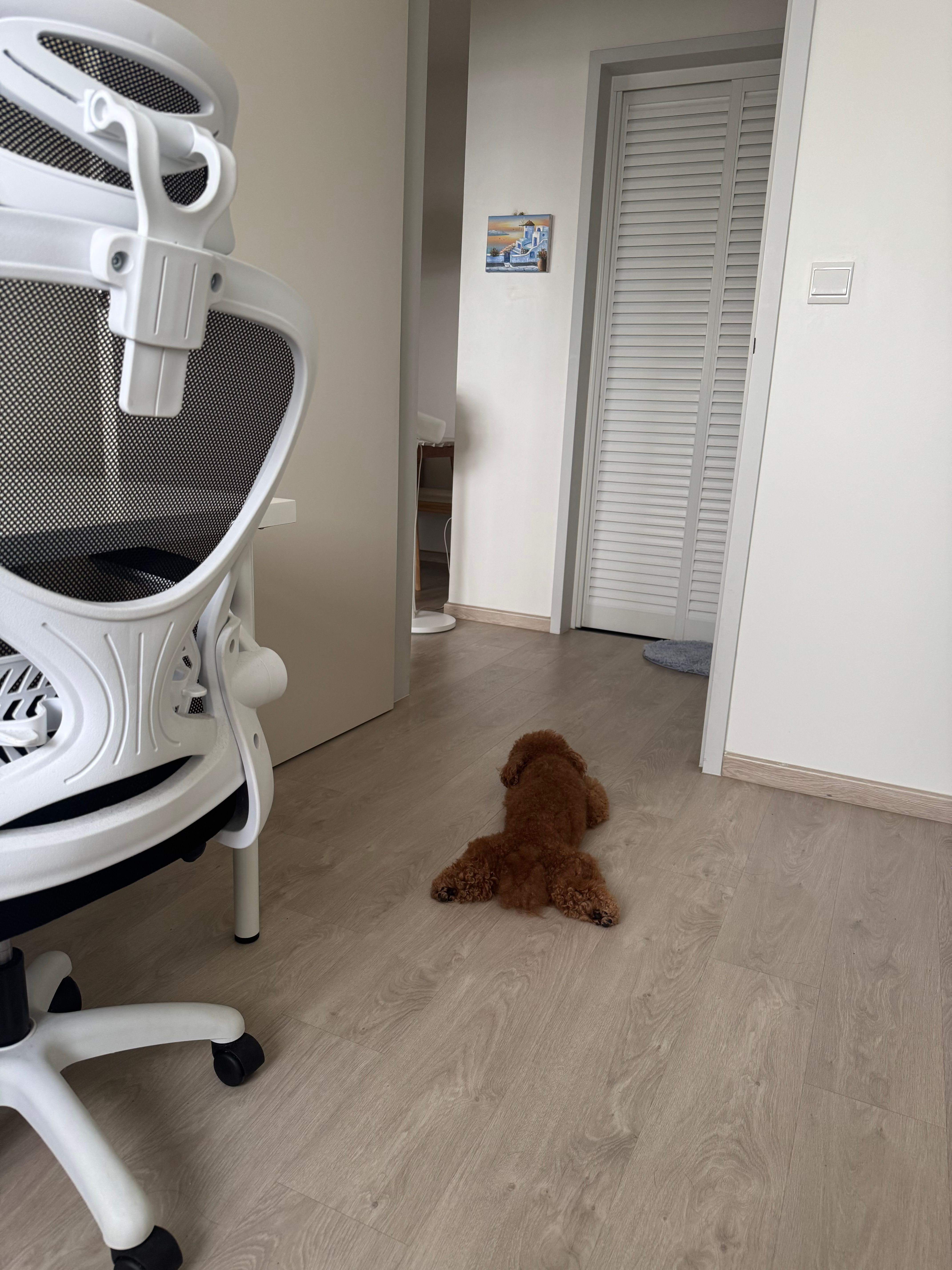 image-20