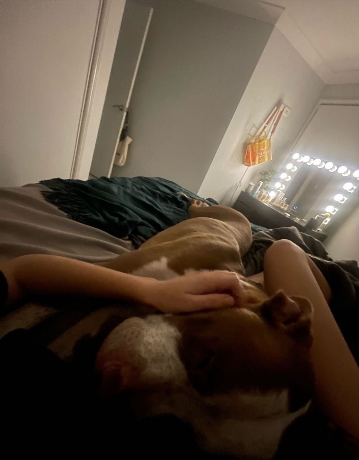 image-7