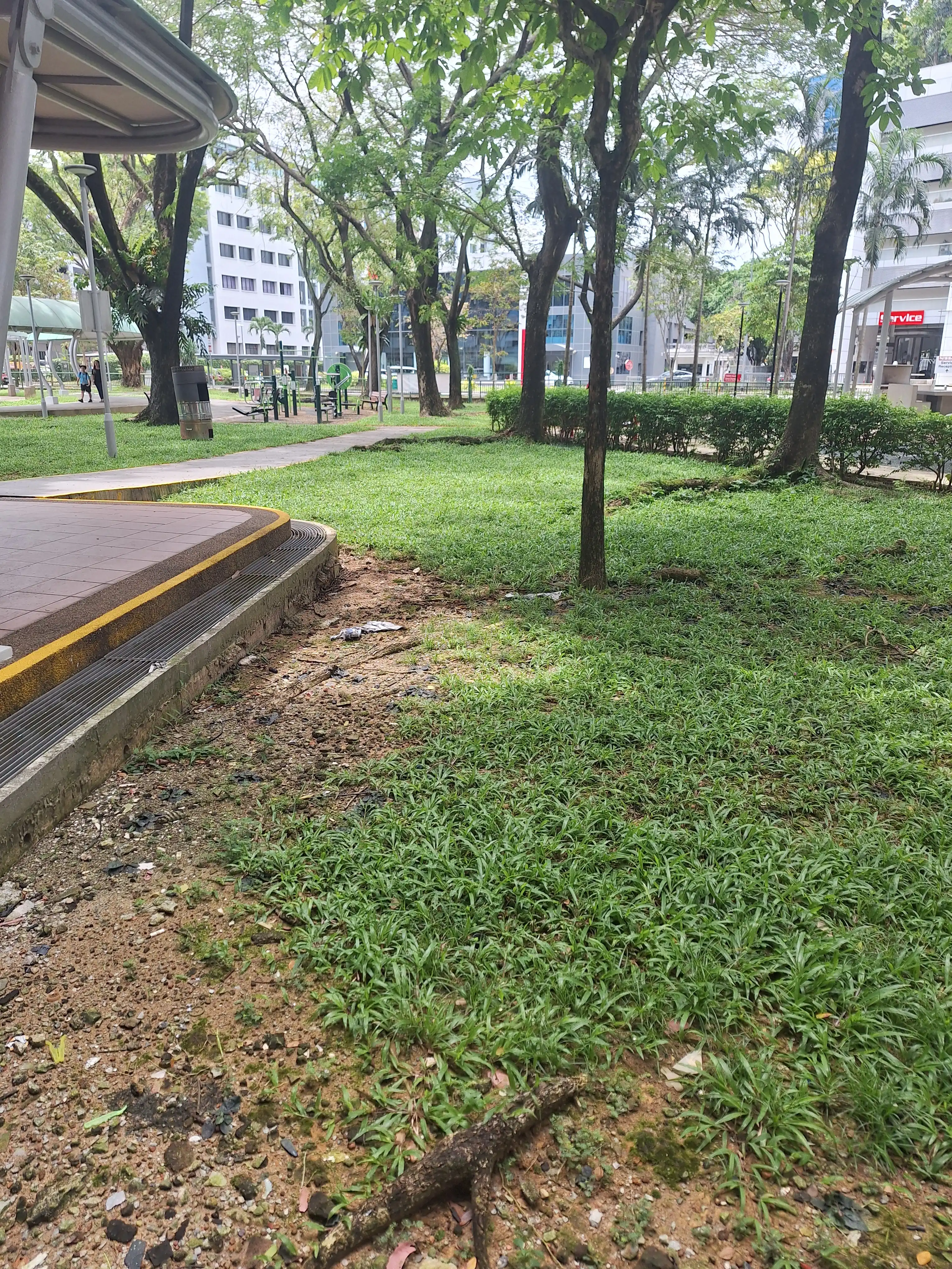 image-12