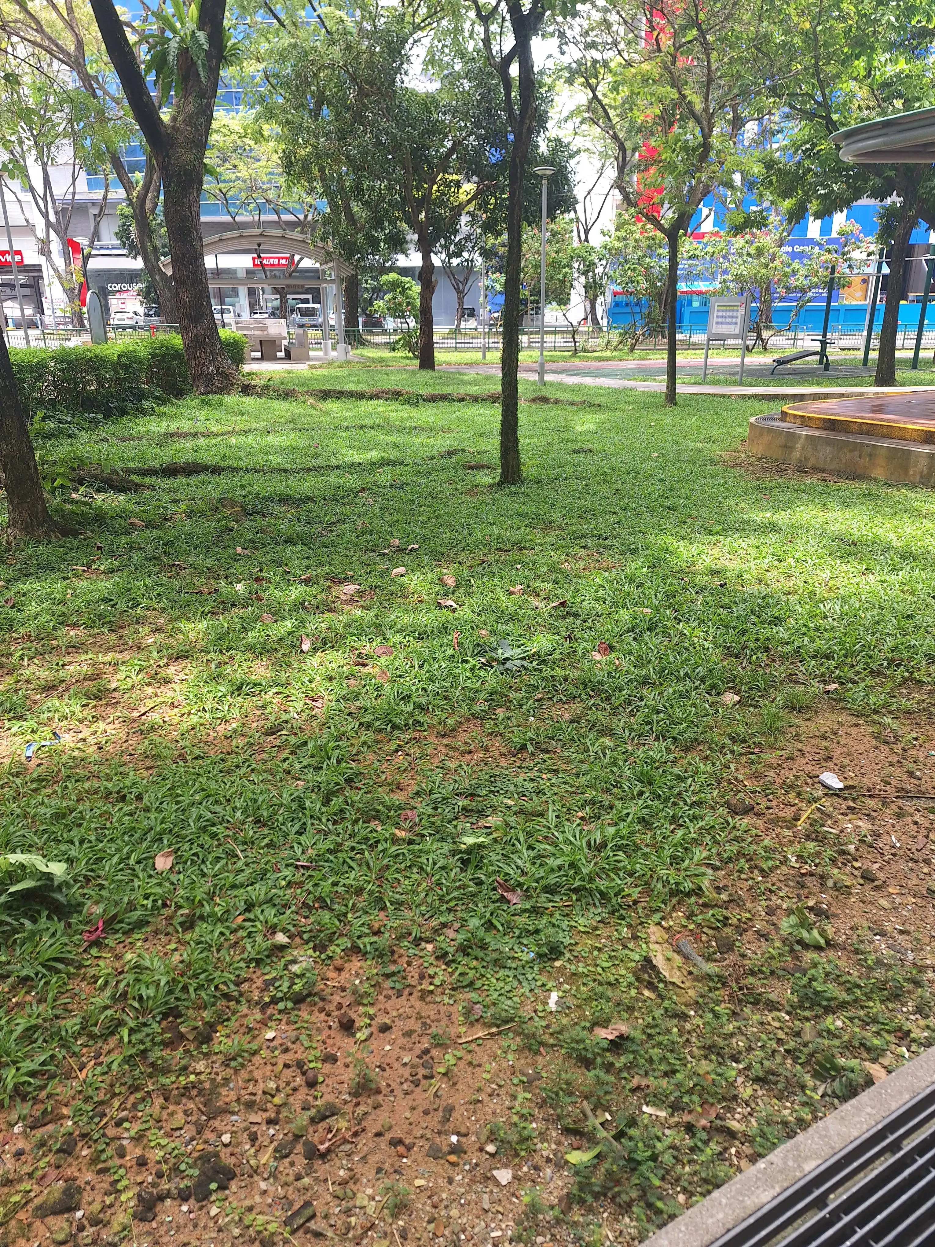 image-13