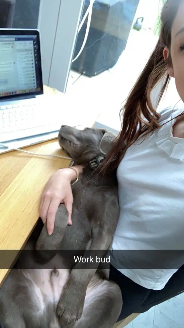 image-8