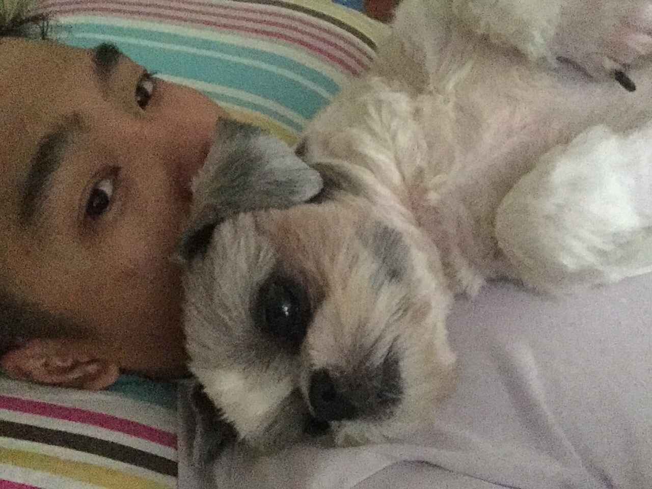 image-5