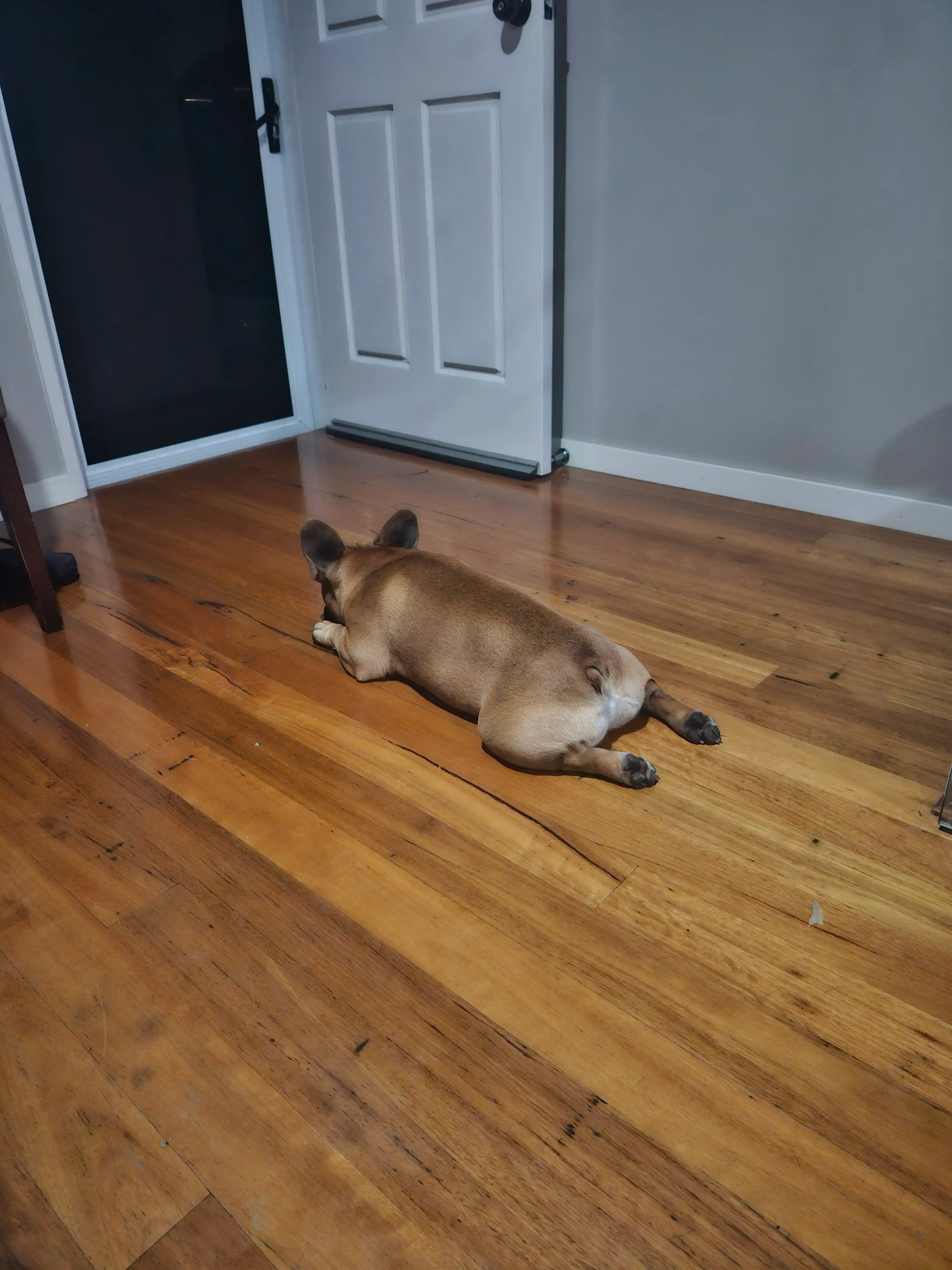 image-10