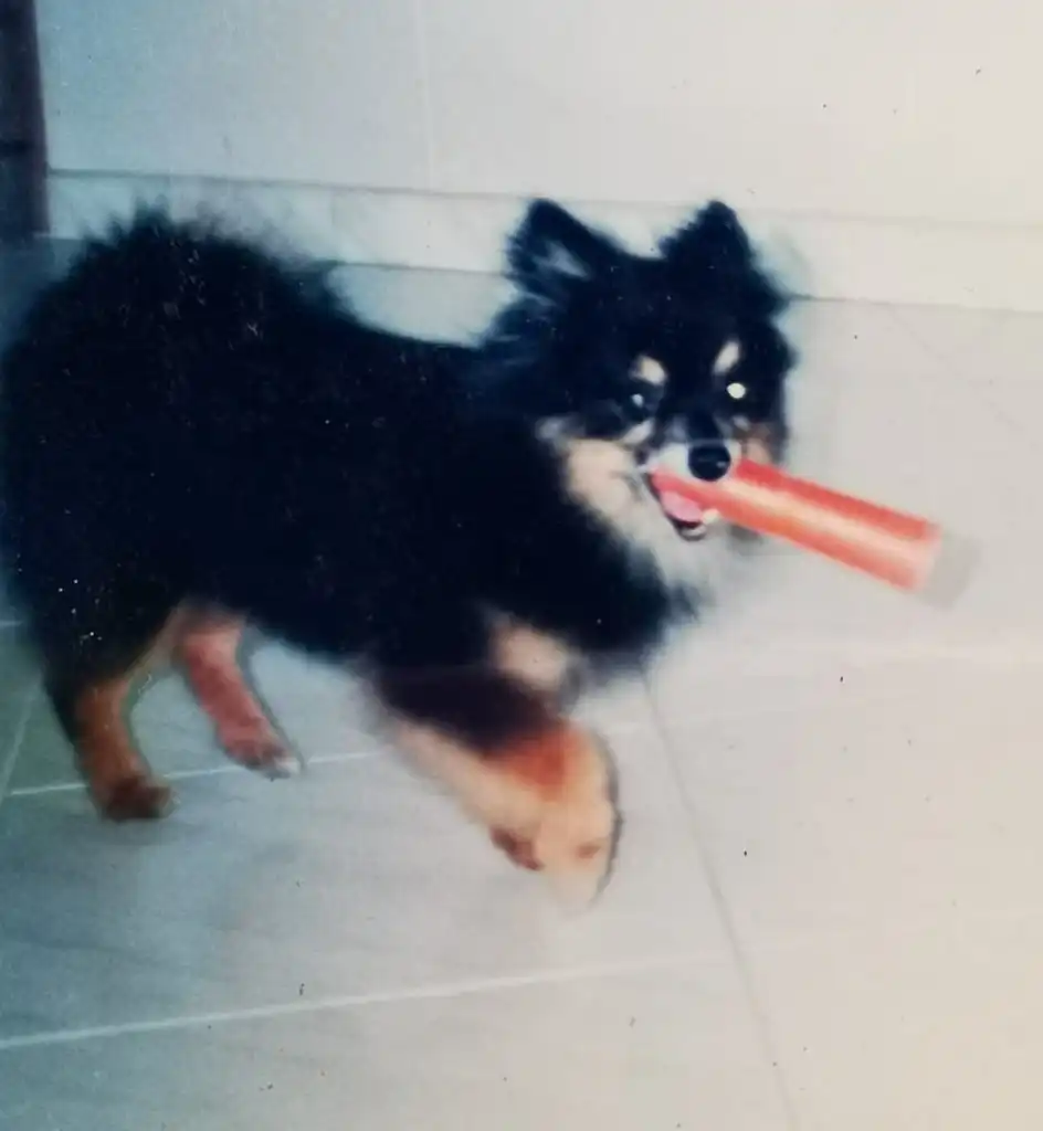 image-7
