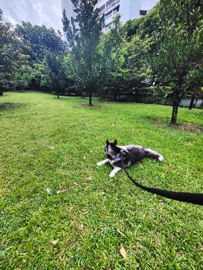 image-23
