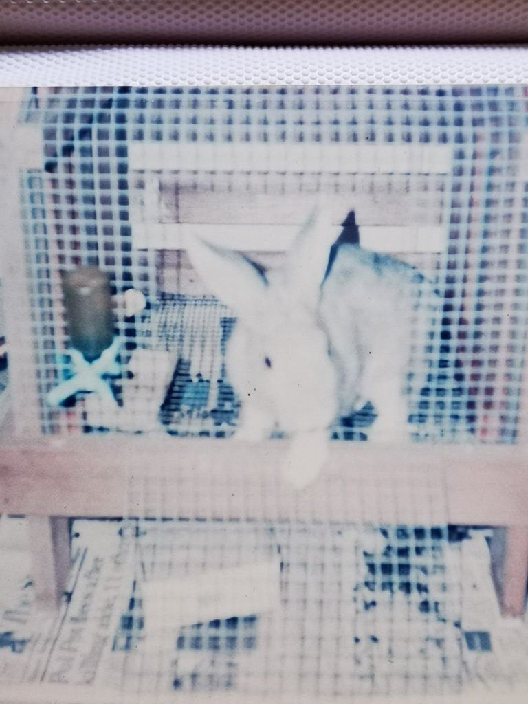 image-17