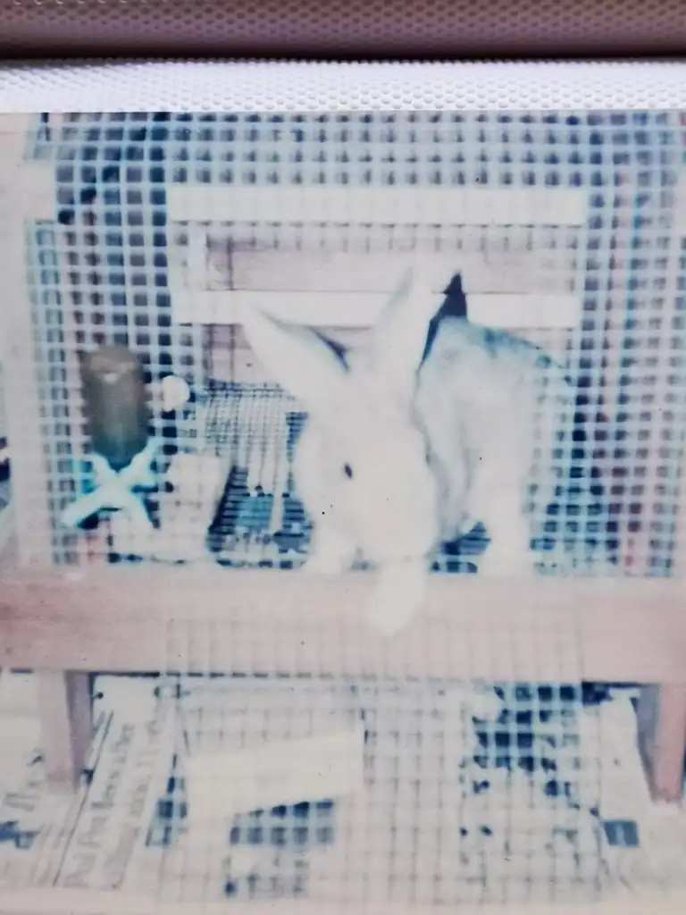 image-17