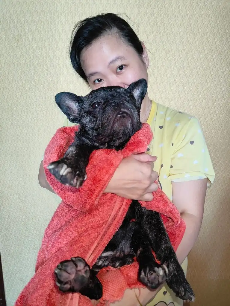 image-32
