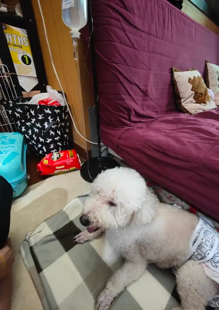 image-41
