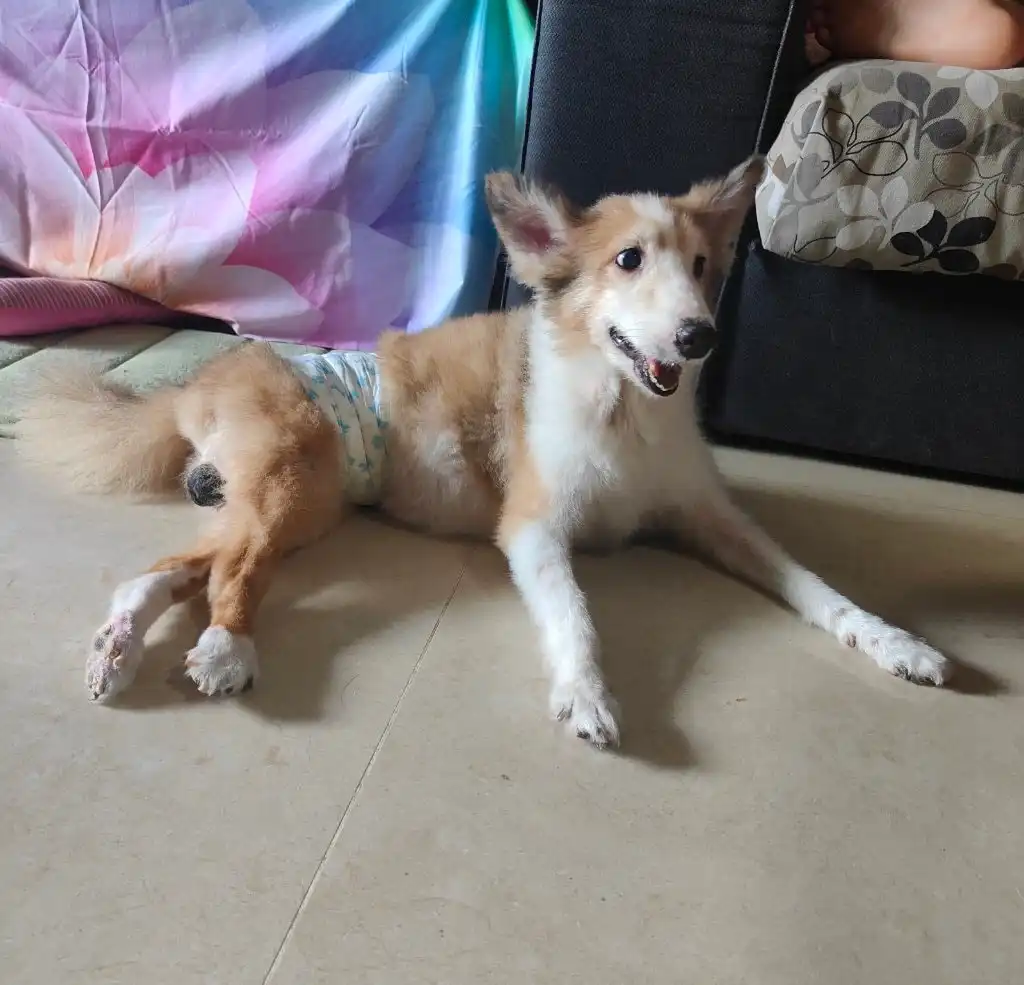 image-49