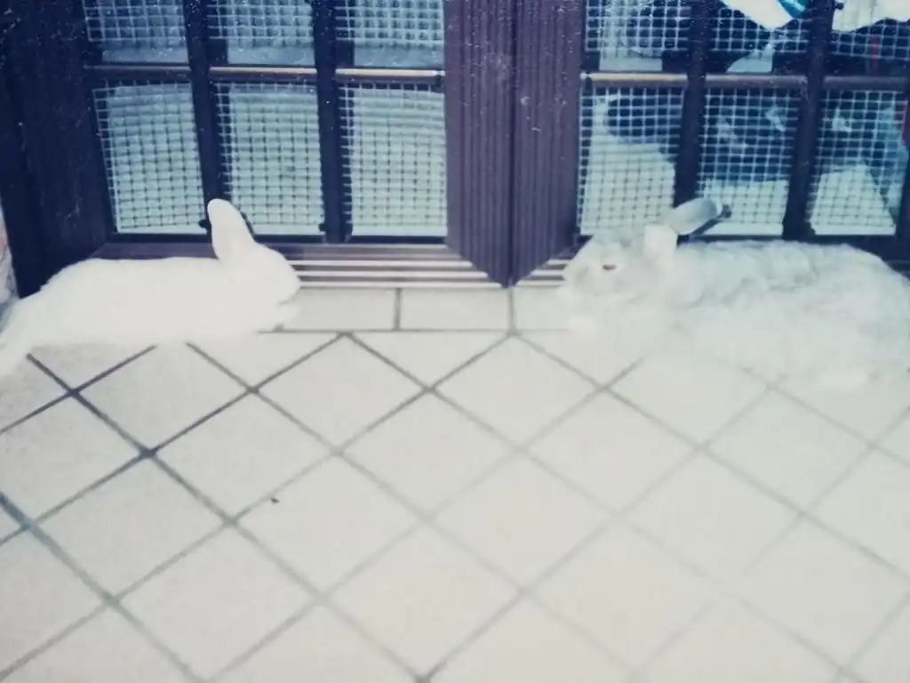 image-16
