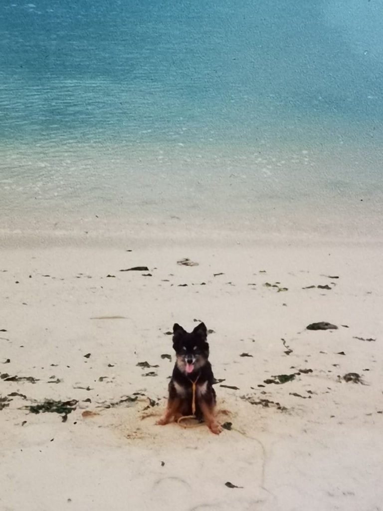 image-6