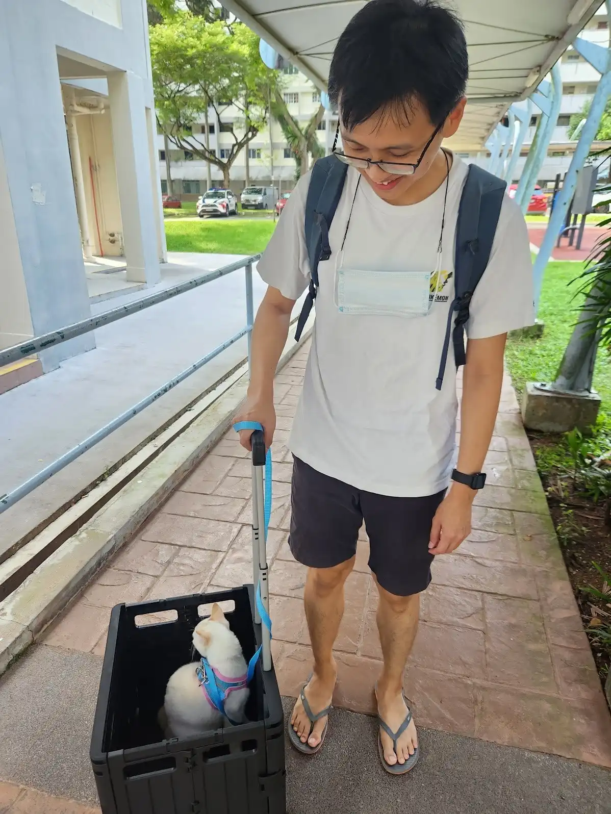image-5