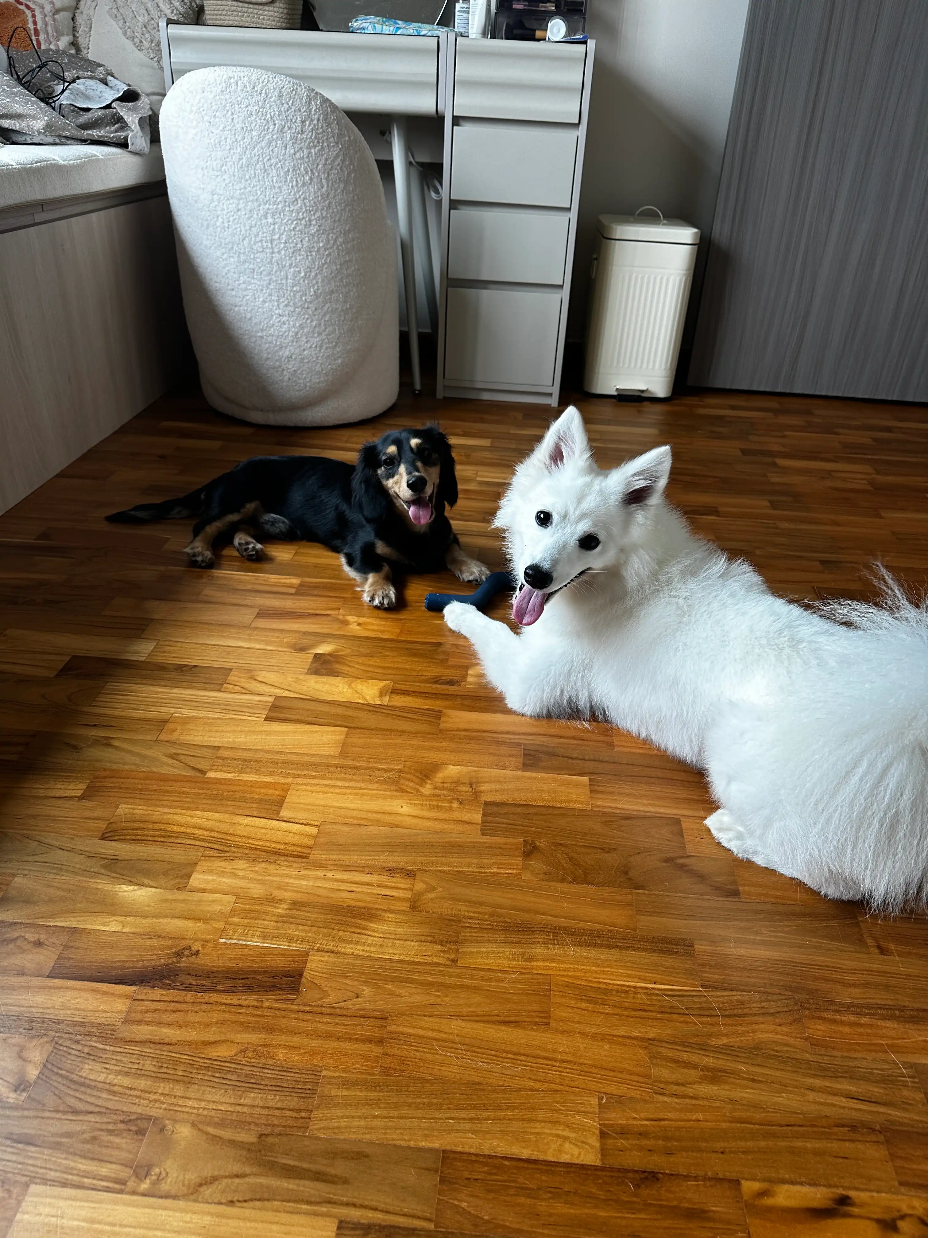 image-16