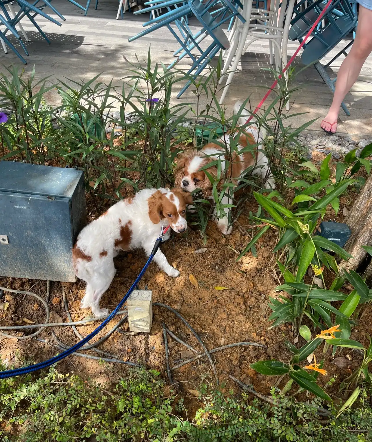image-11