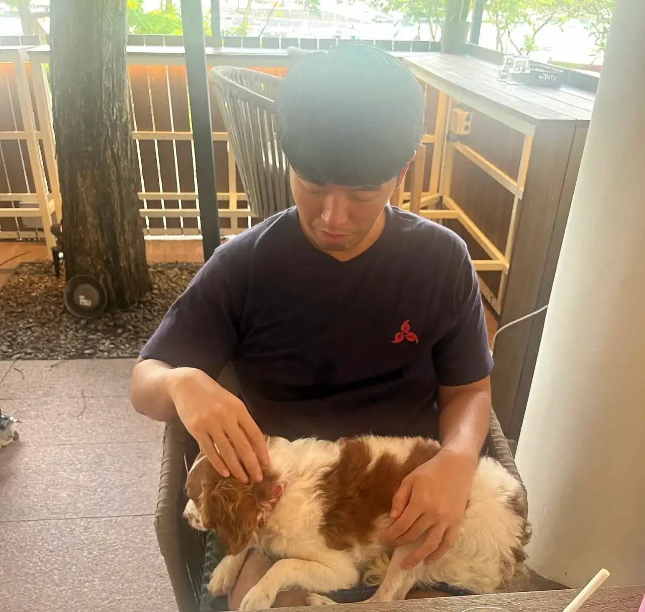 image-10