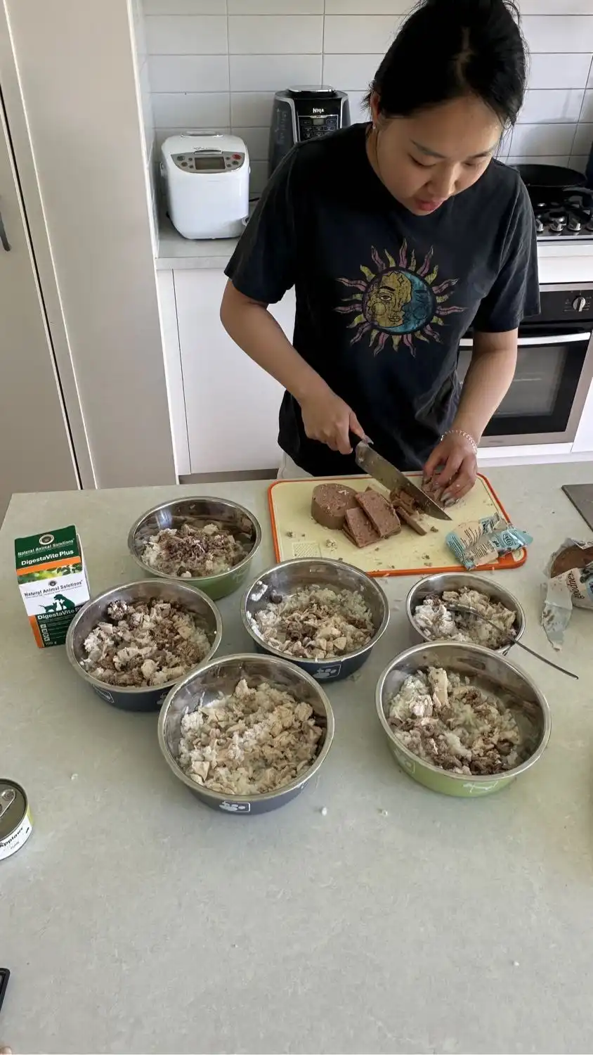 image-46