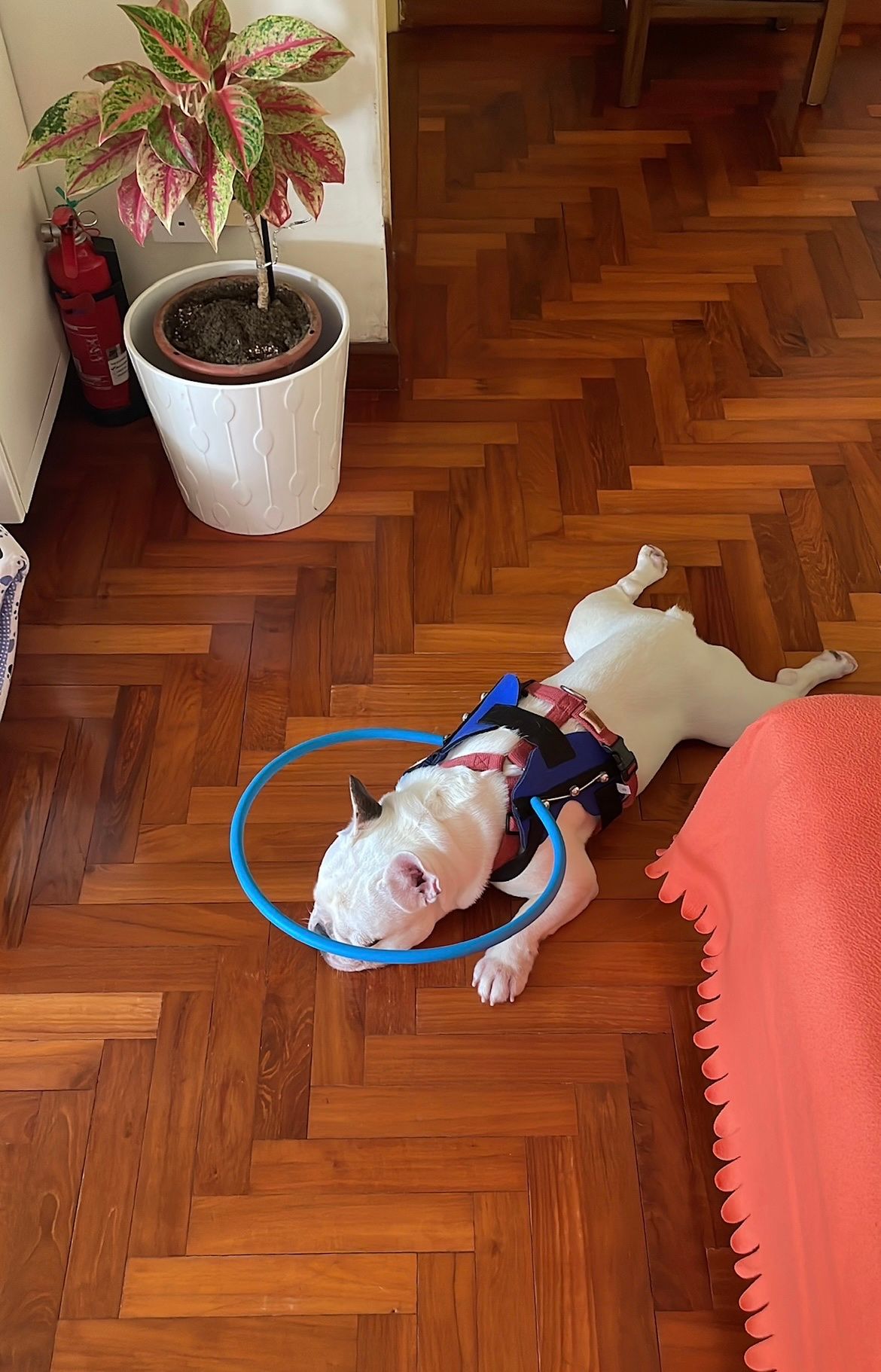image-17