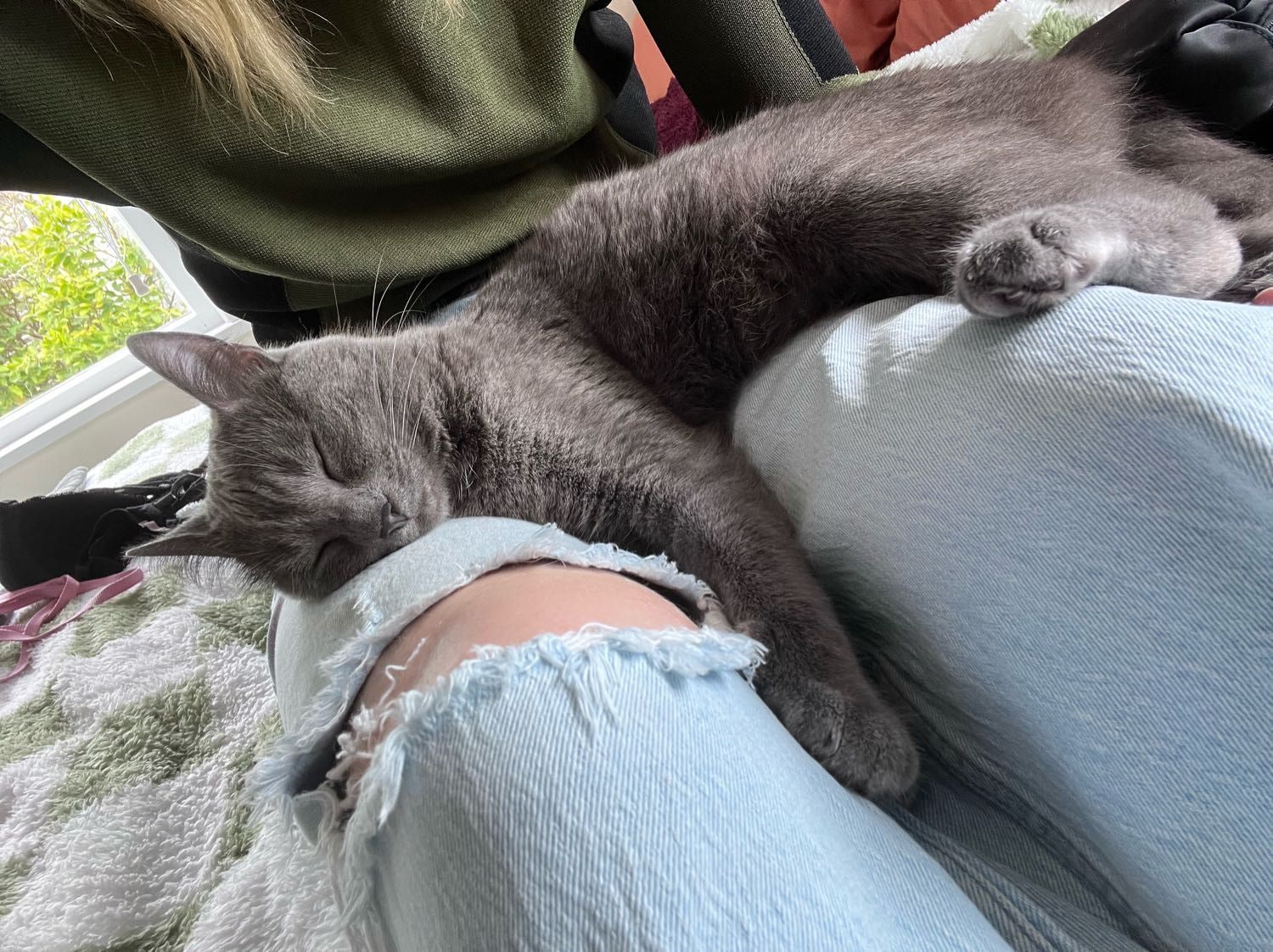 image-6