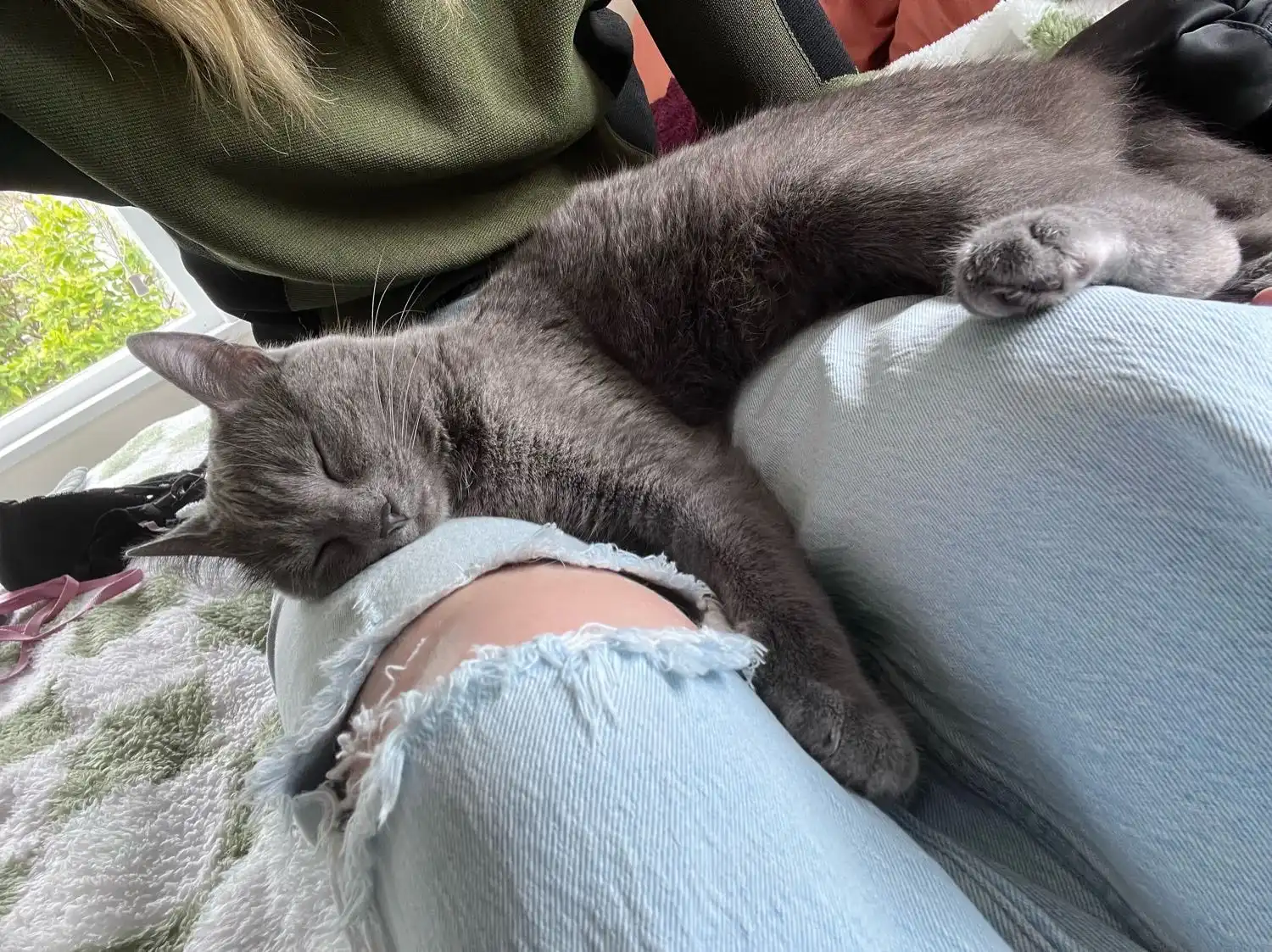 image-6