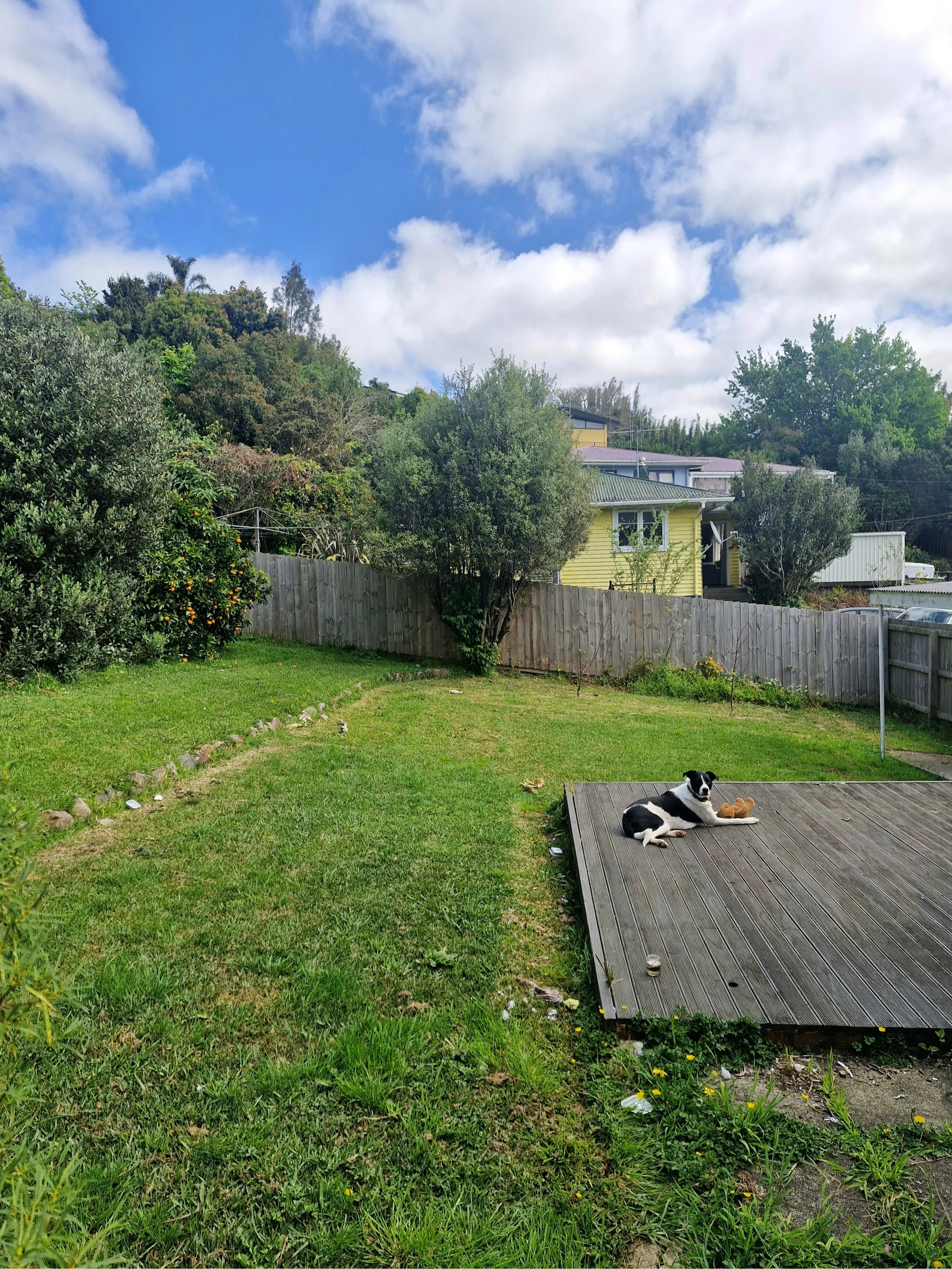 image-3