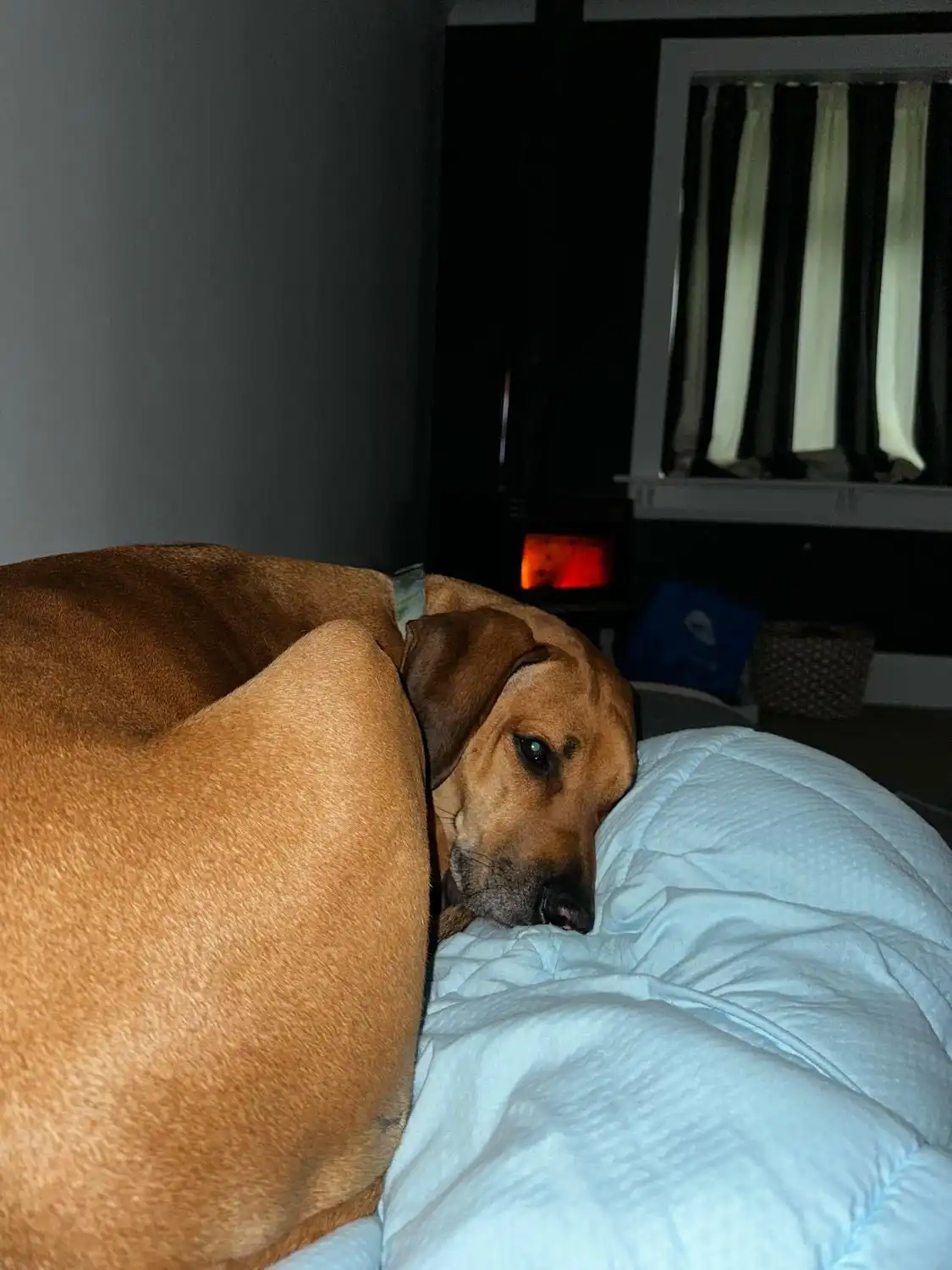 image-6