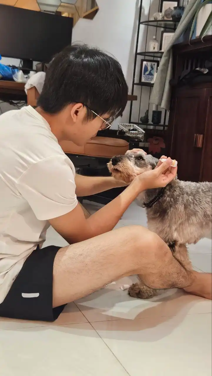 image-7