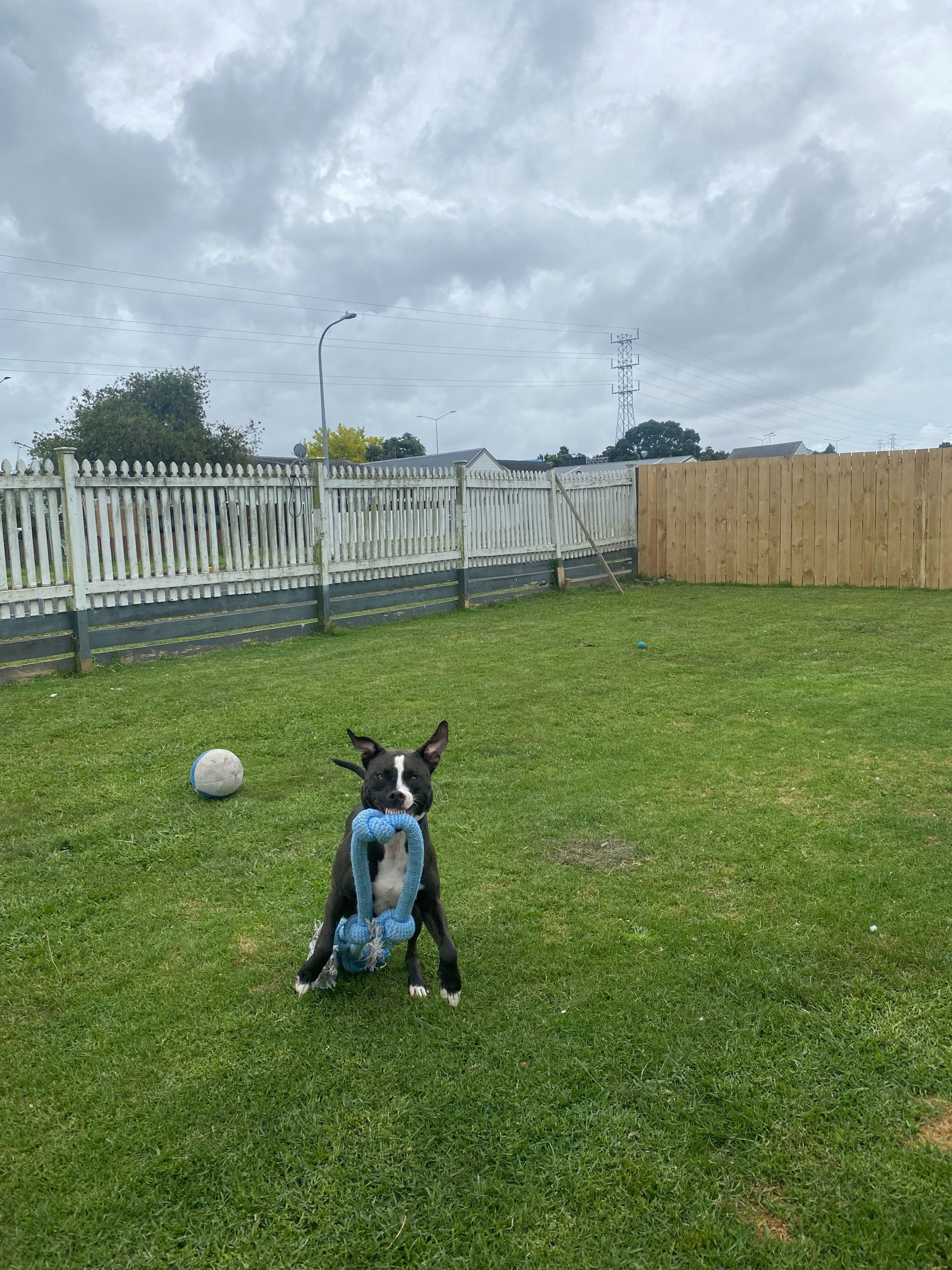 image-6