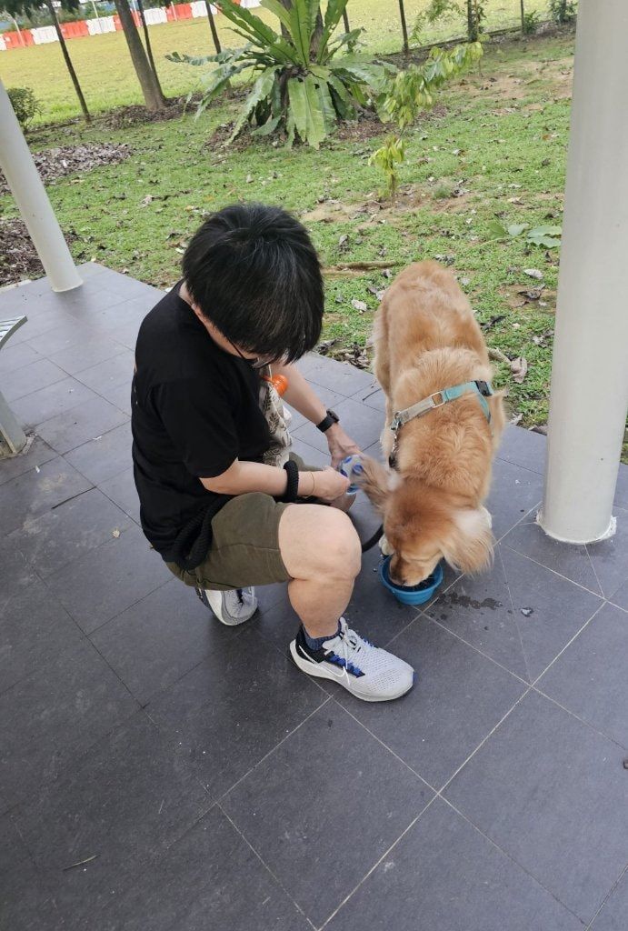 image-24