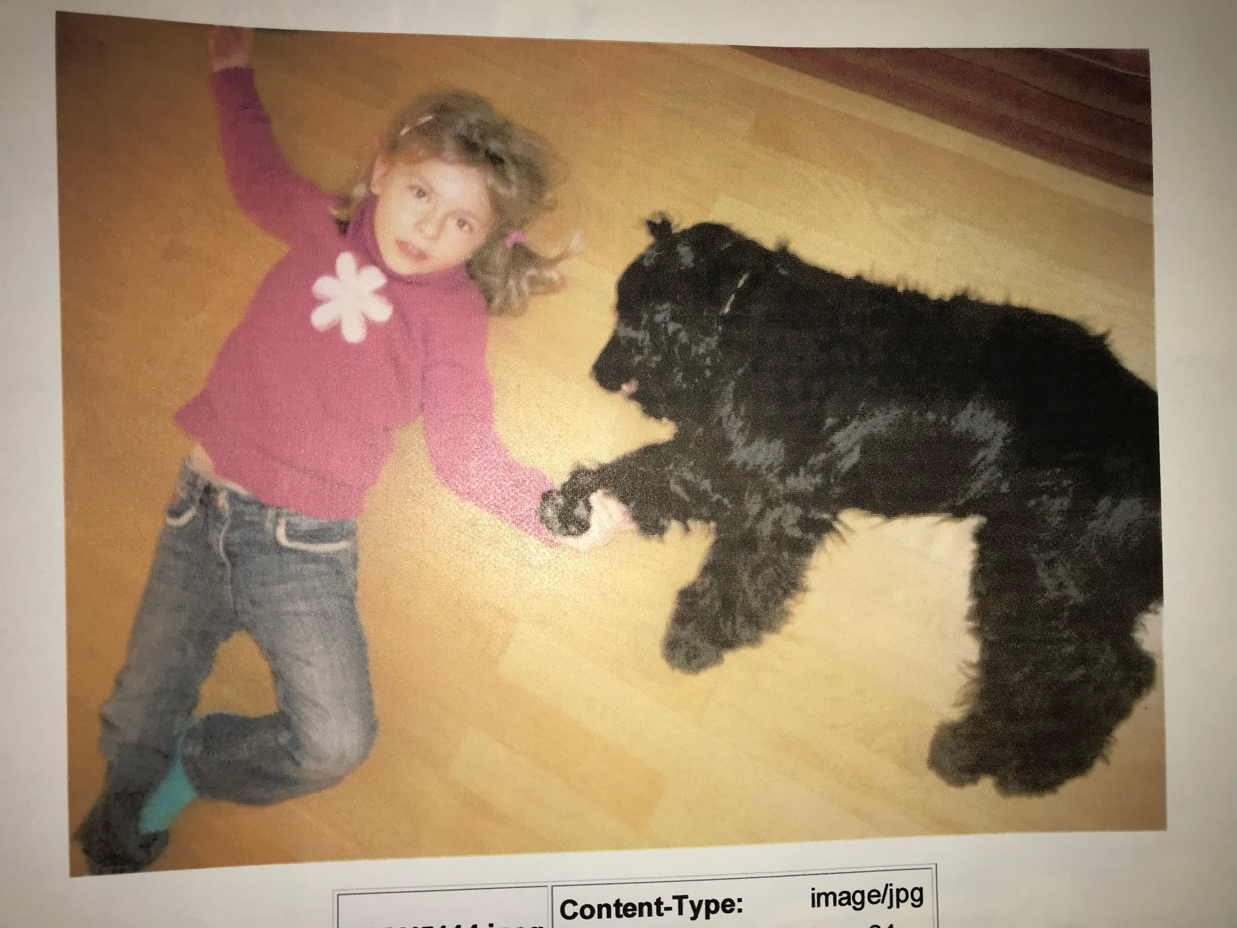 image-8