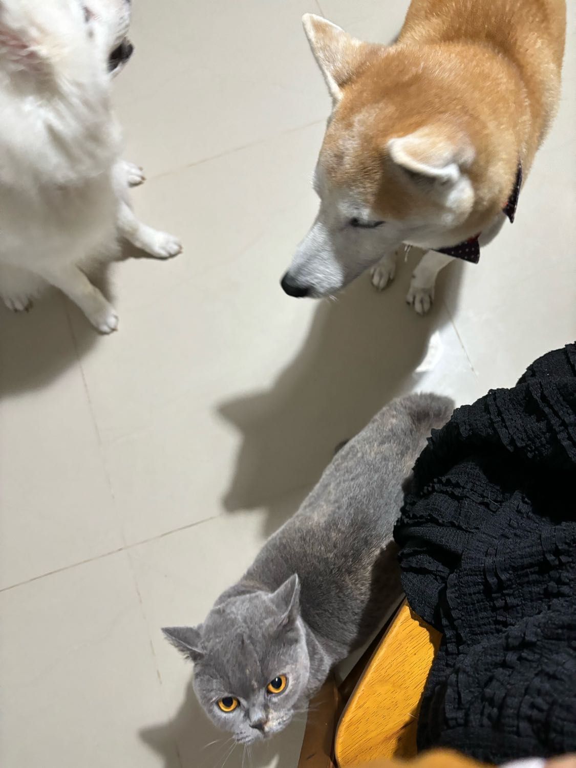 image-6
